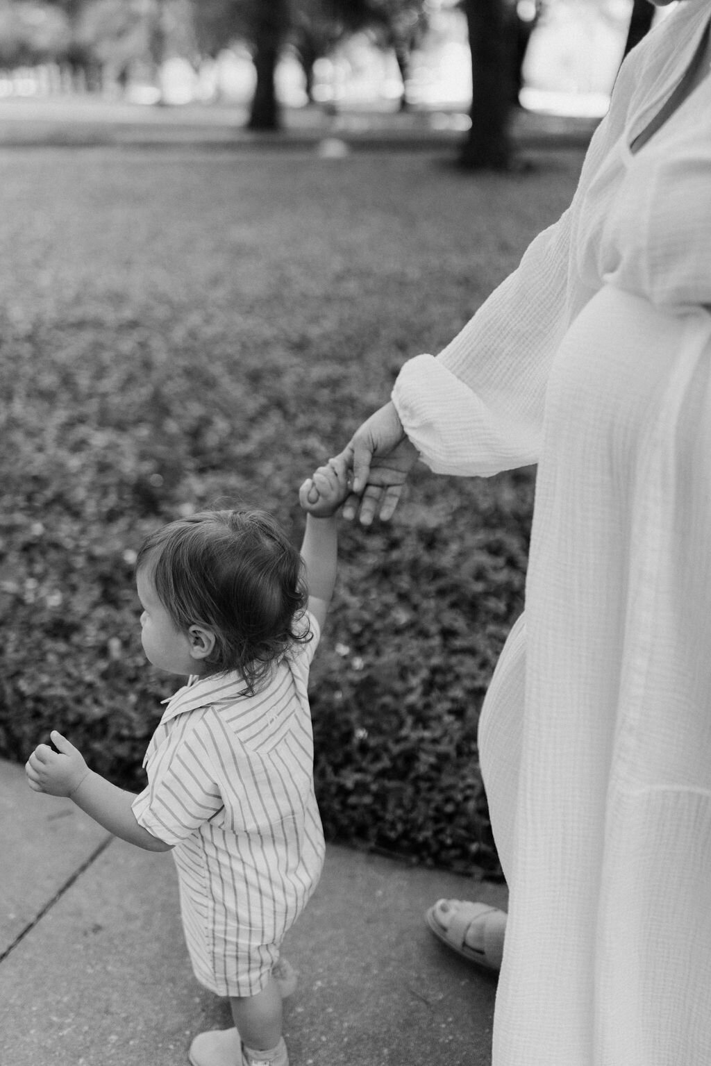 Family Photo Session Tampa