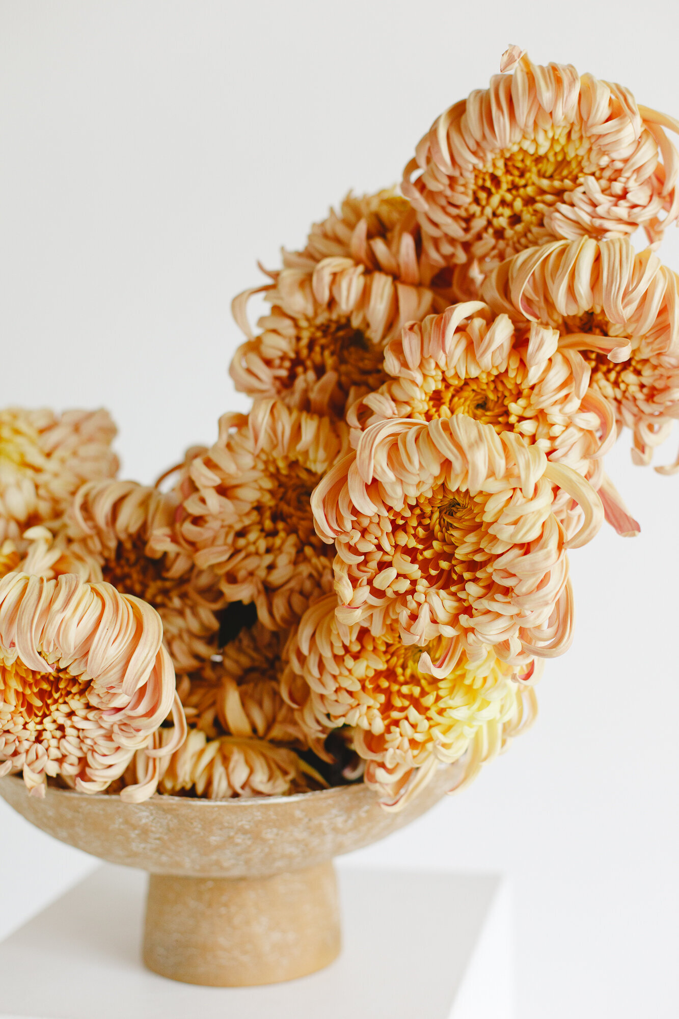 classesflorales_worshop_conceptcollectif_4