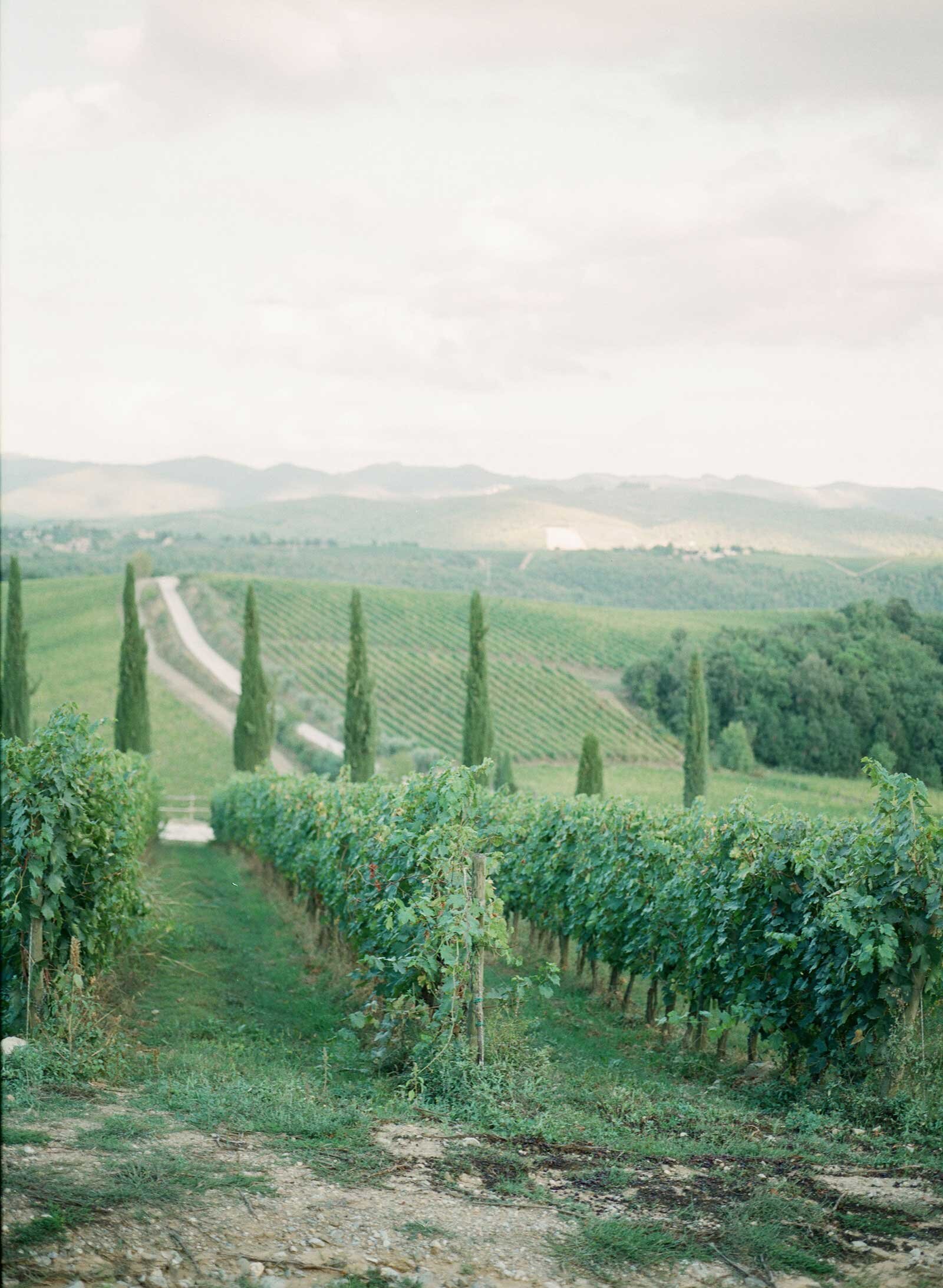 007wedding_dievole_winery_tuscany