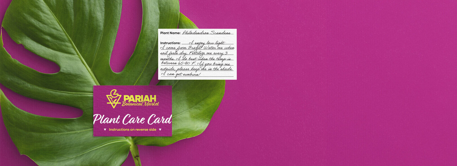 Pariah-Plant Care Card-WebBanner