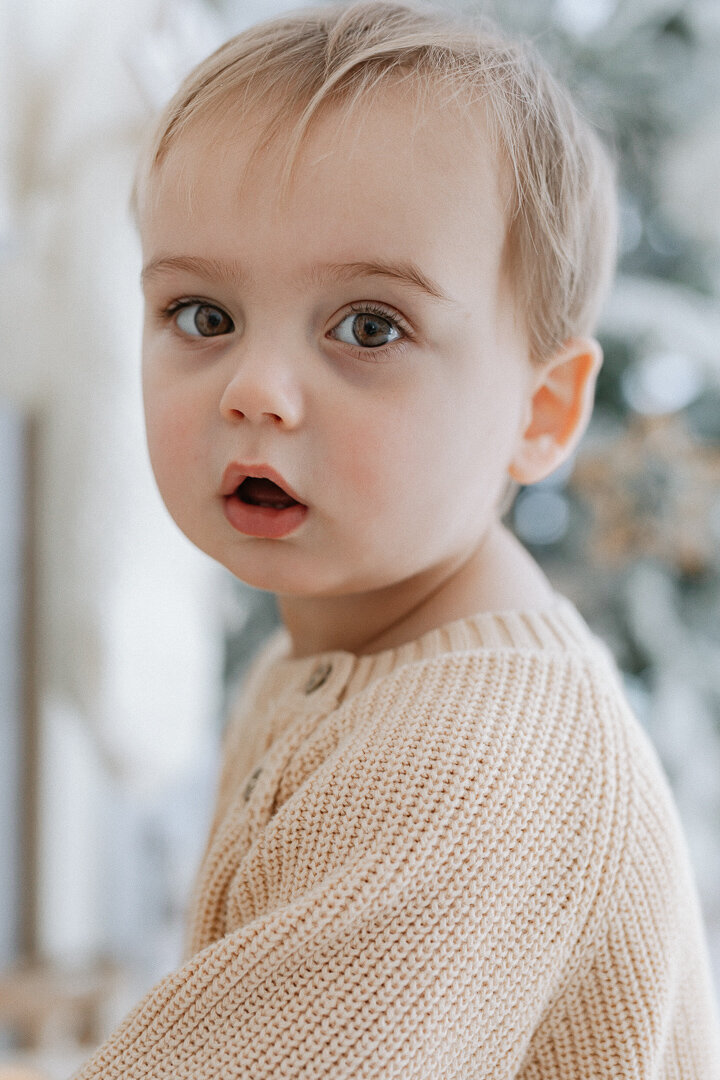 christmas mini shoots hampshire (3)