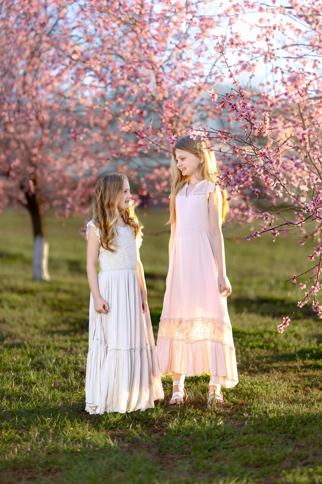 Raleigh-family-photographer-2025-402