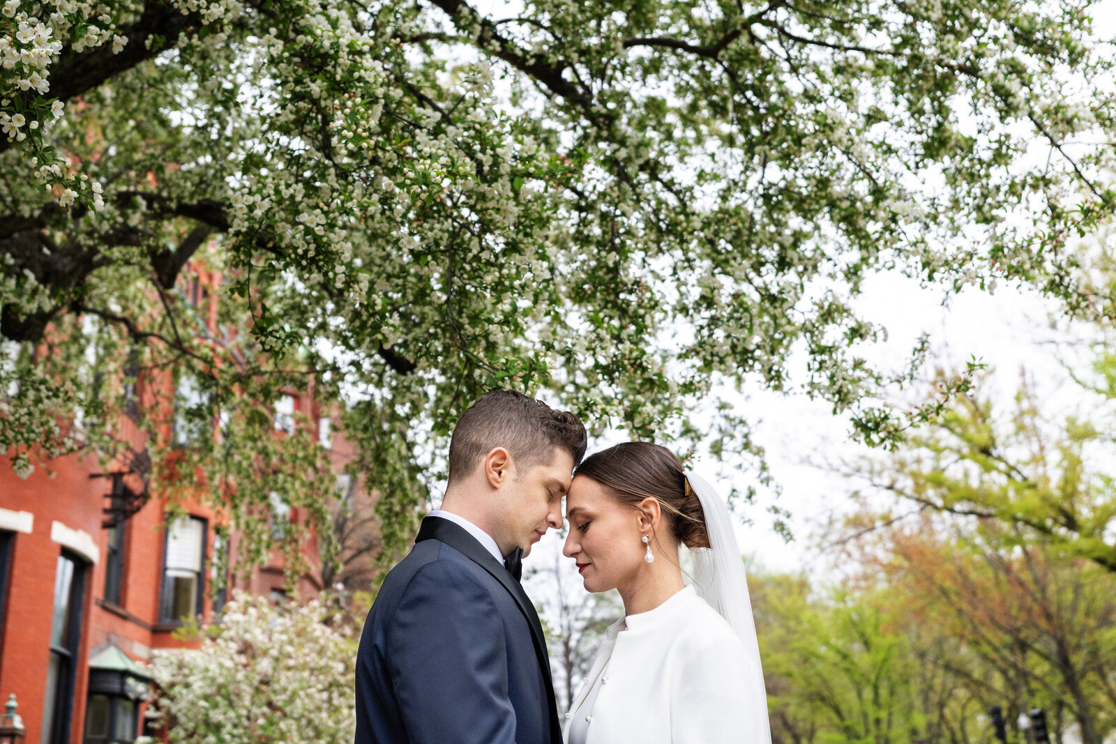 boston wedding couple under trees