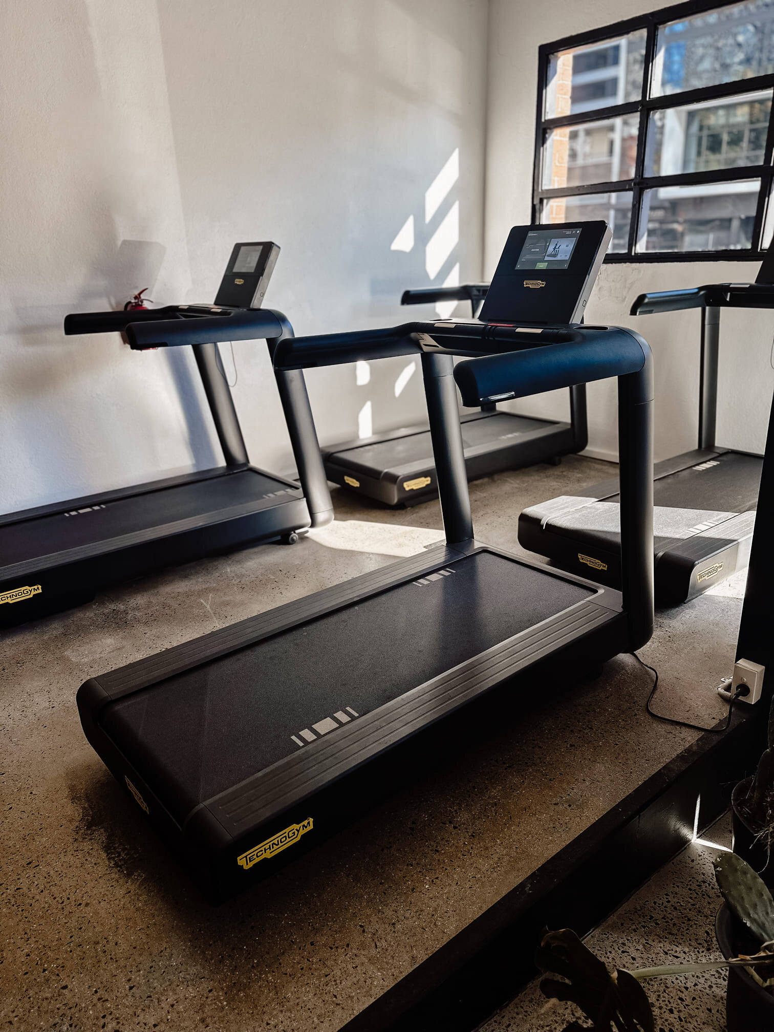 treadmills at west mlebourne gym