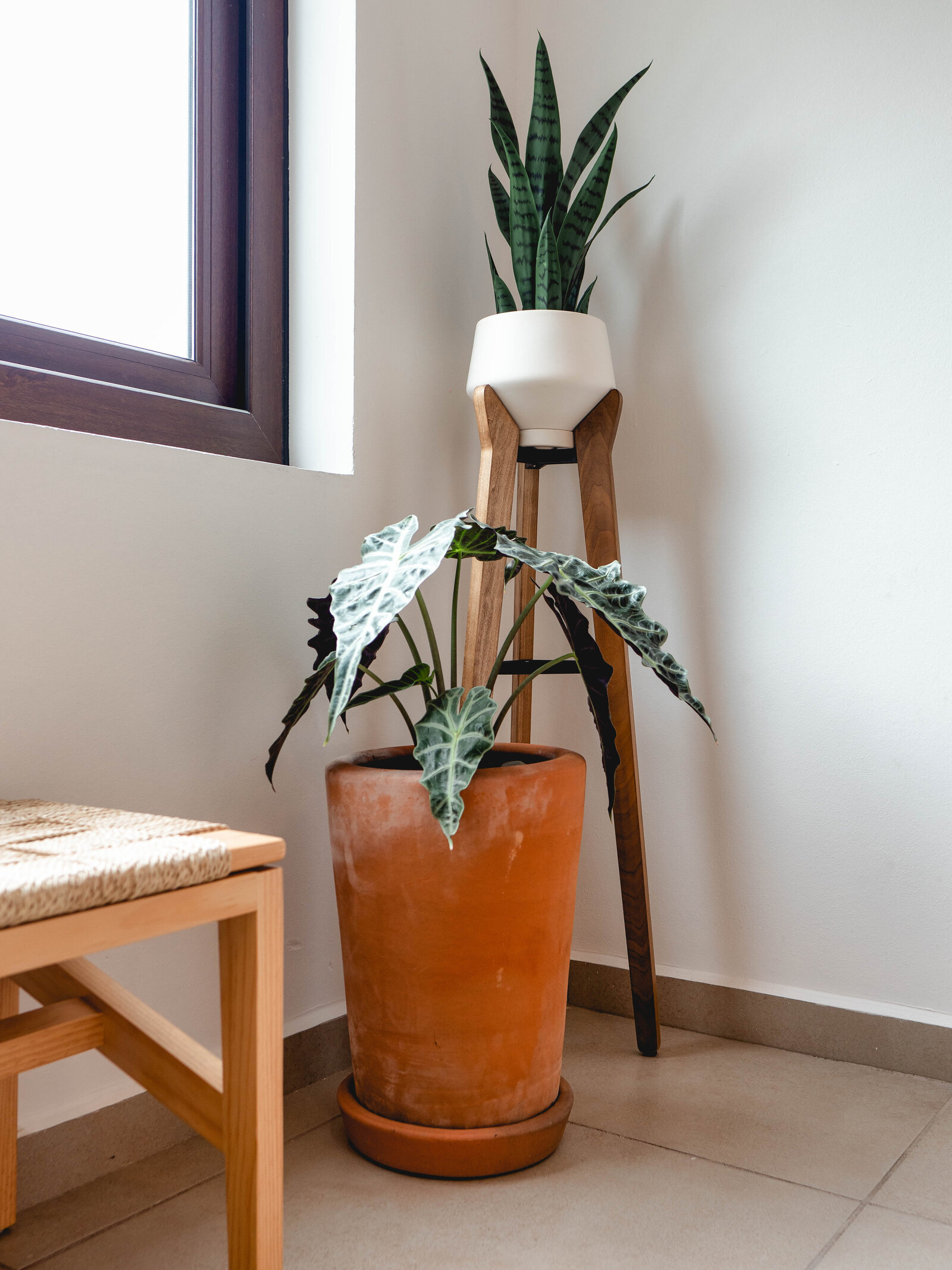 Interior Design, Oaxacan Coast 9052
