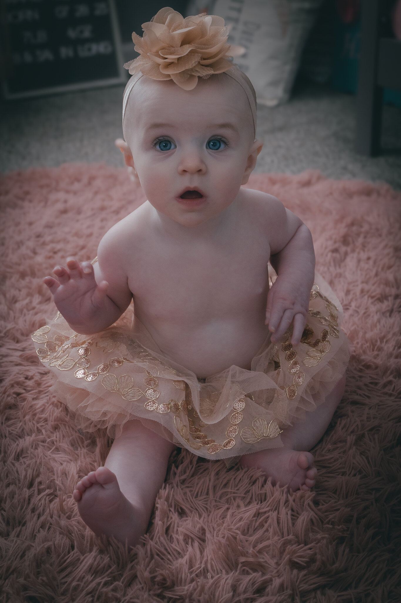 baby milestone portrait in kansas city 1