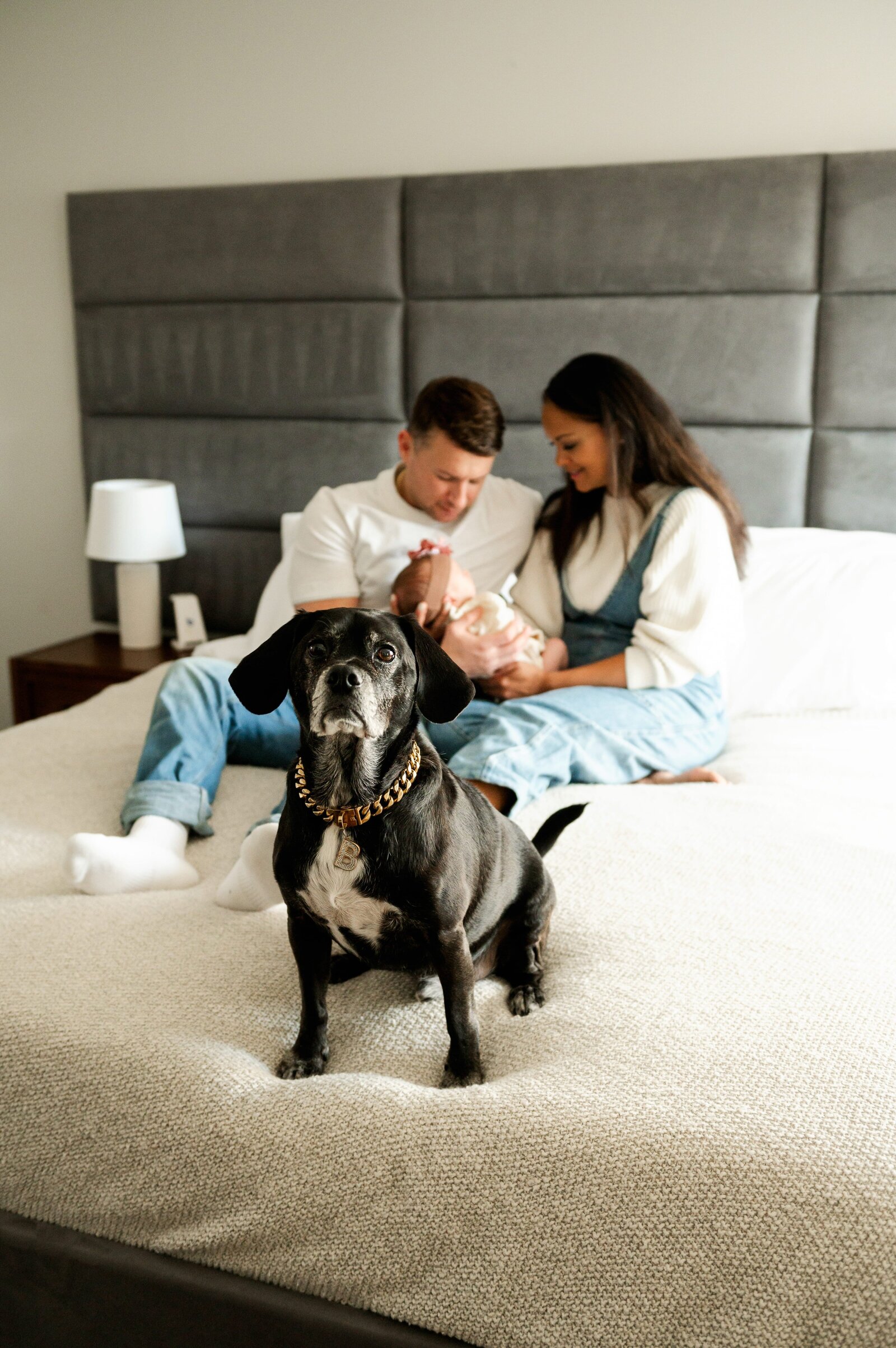 dog in bed with mom and dad holding newborn baby