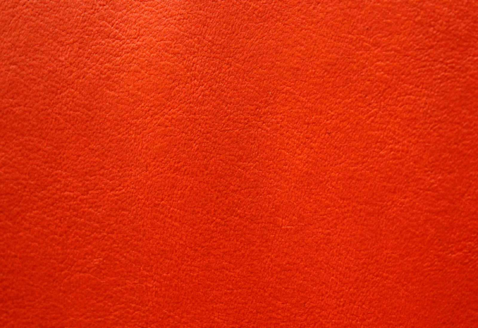 Amadeus  Tiger Lily Leather