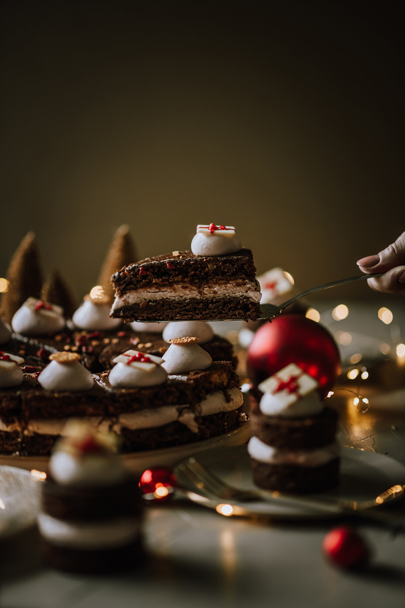 JNSW-kersttaart