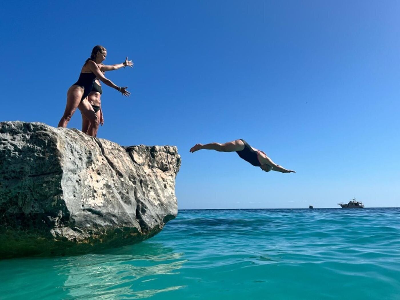 processed_1000010658