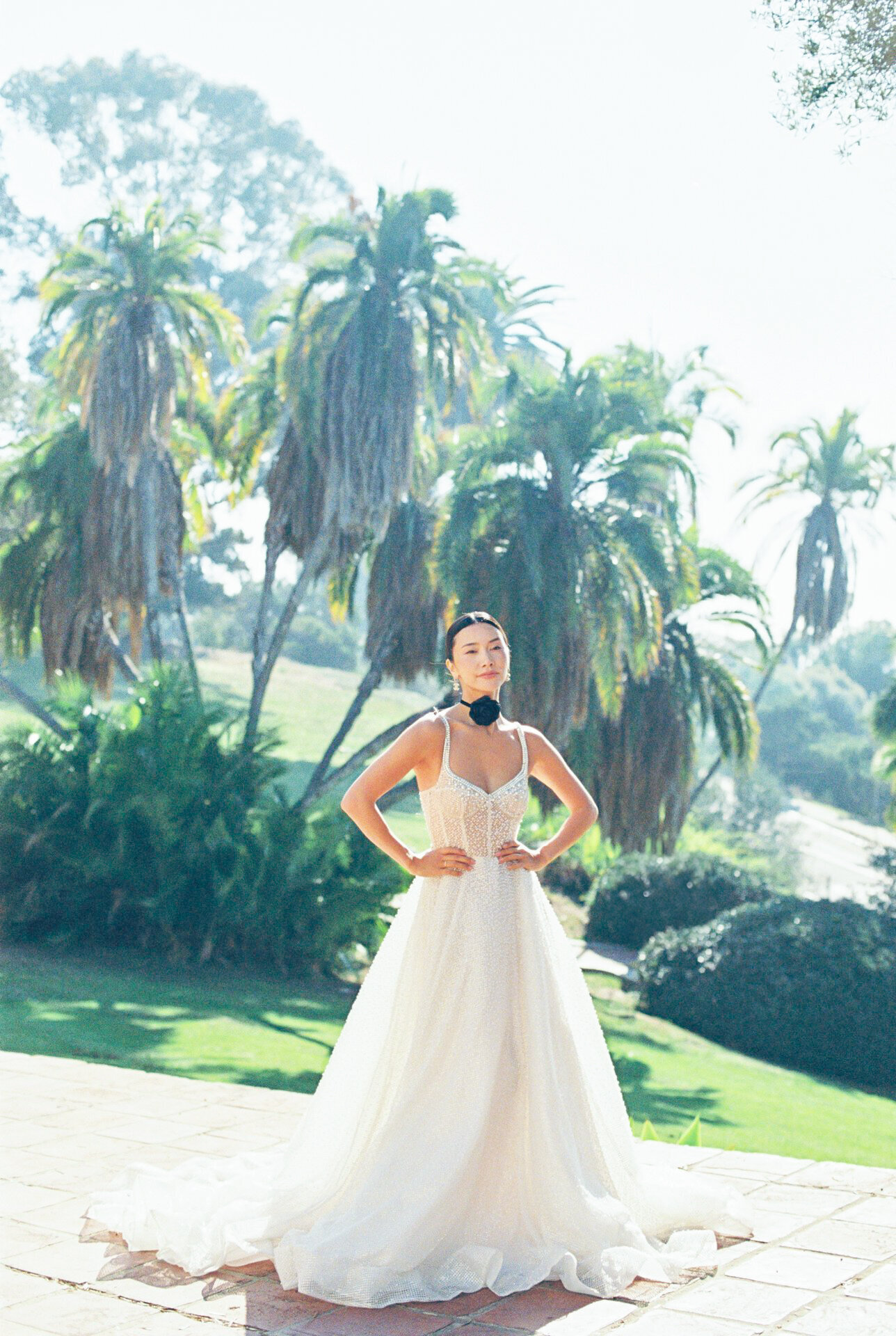 Fashion bride standing in white dress in front of tropical tree in California destination wedding