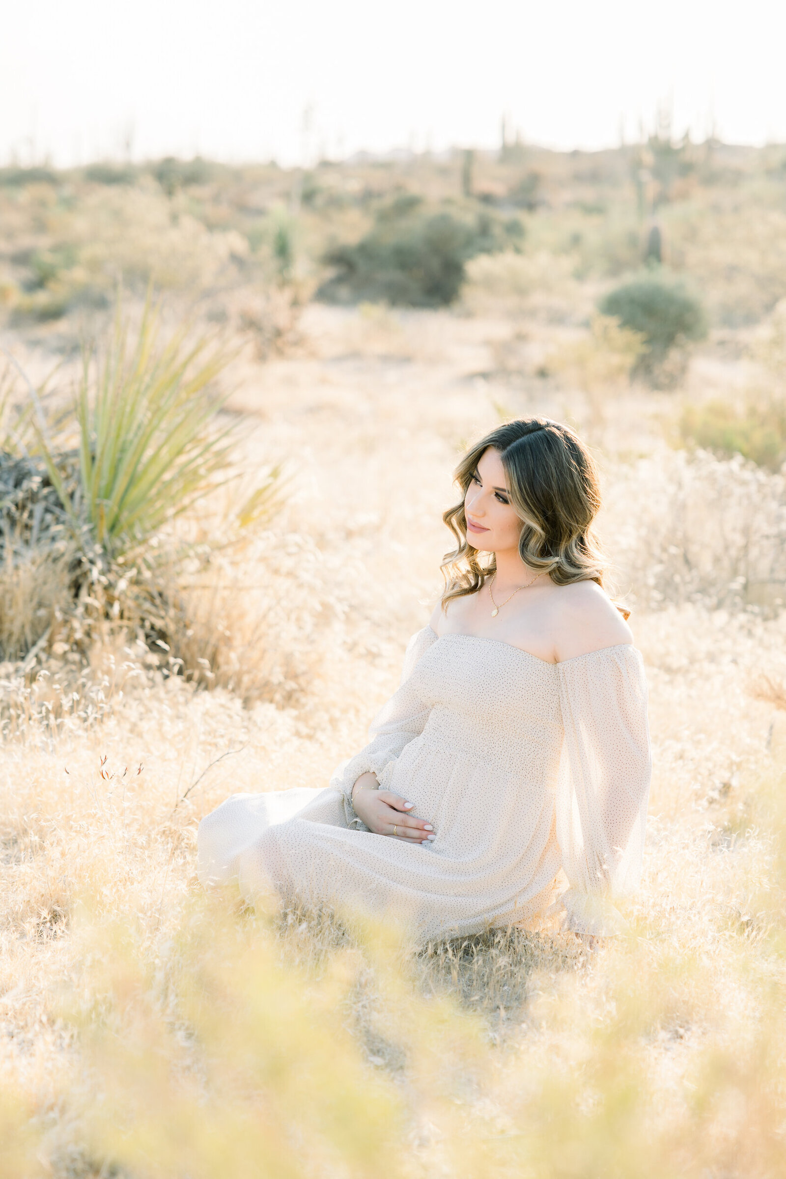 Arizona-Desert-Maternity-Photography-Brenna-Heater26