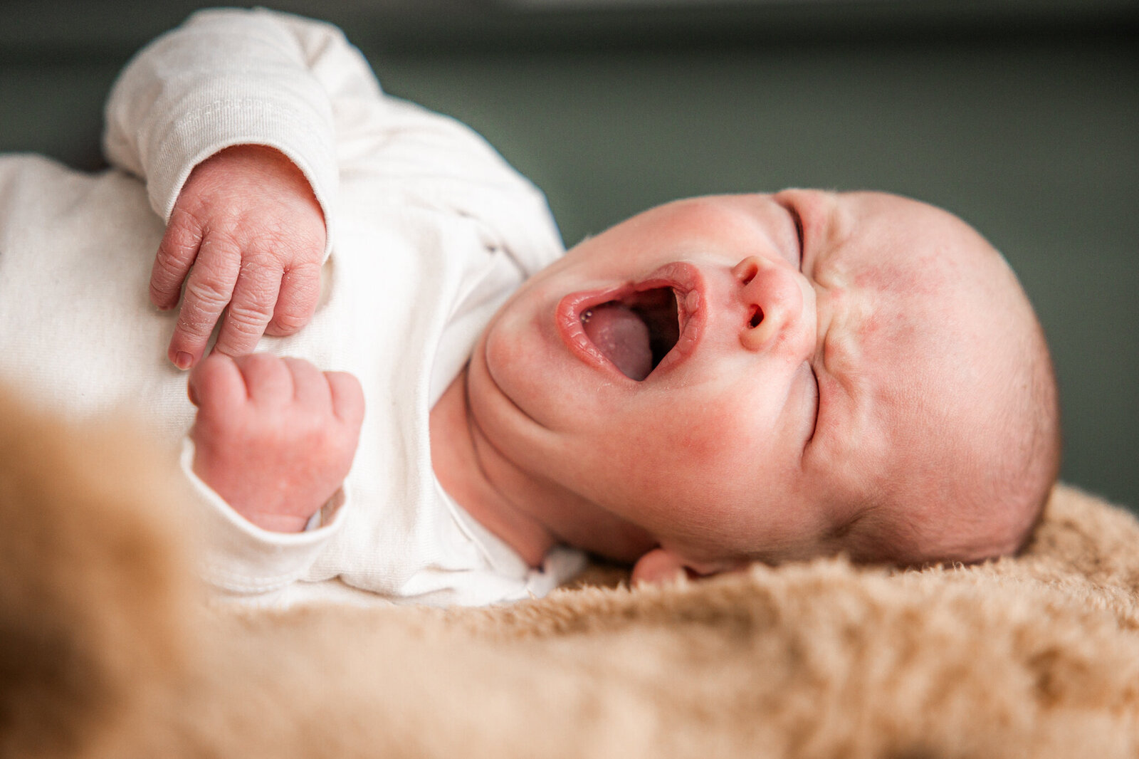 Newbornshoot Zaltbommel