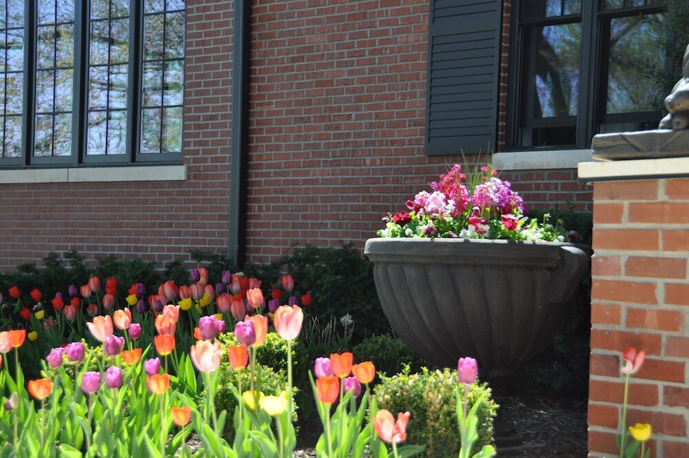 Landscape company project