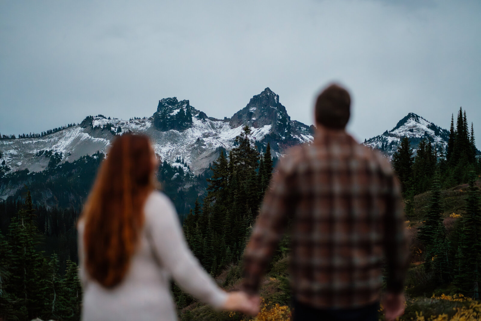 Couple holding hands and looking at the mountains during their Mount Rainier National Park Engagement Photos