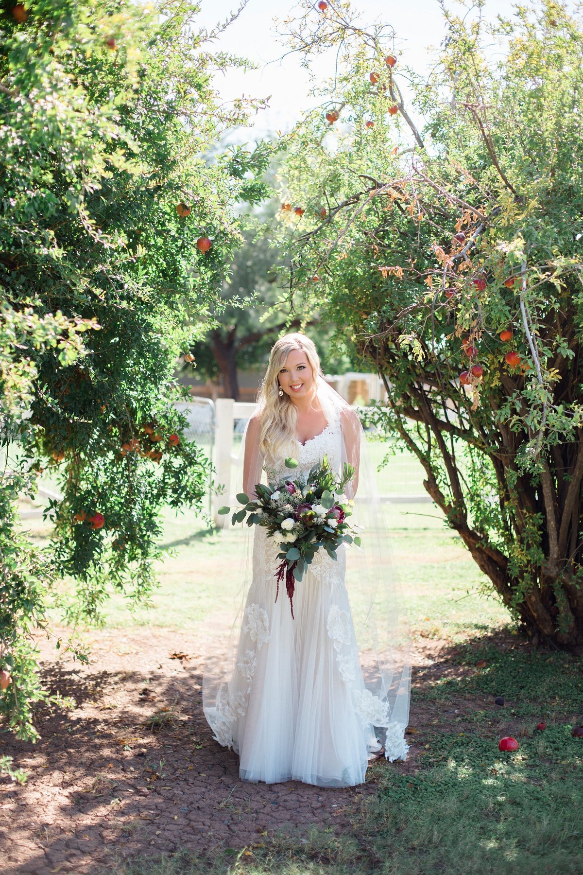 Engagements Best Colorado Springs Wedding Photographer Monument Pictures Portraits Arizona CO Denver Scottsdale AZ (3)