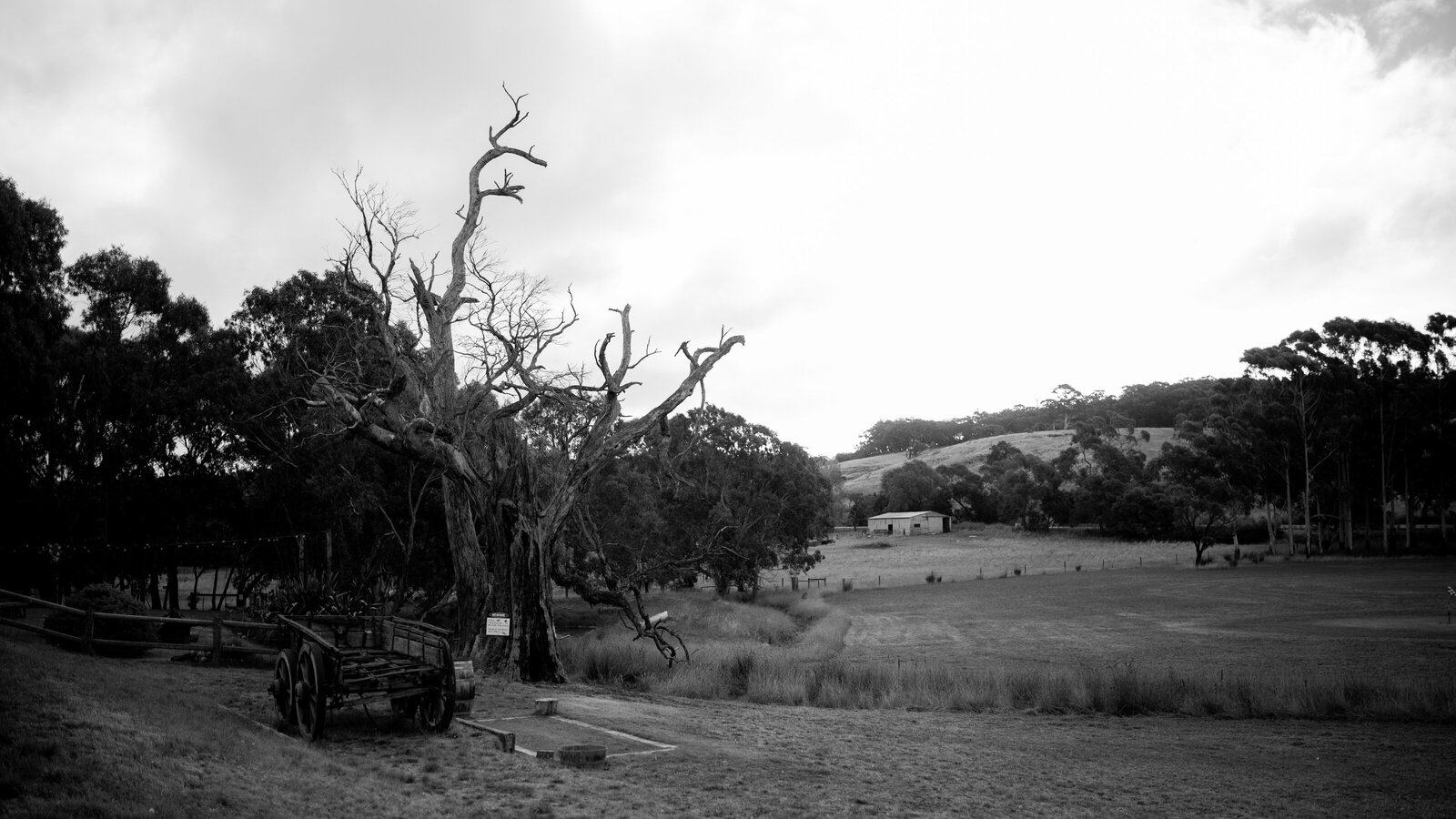 Emma-Brad-Rexvil-Photography-Adelaide-Wedding-Photographer (439 of 592)