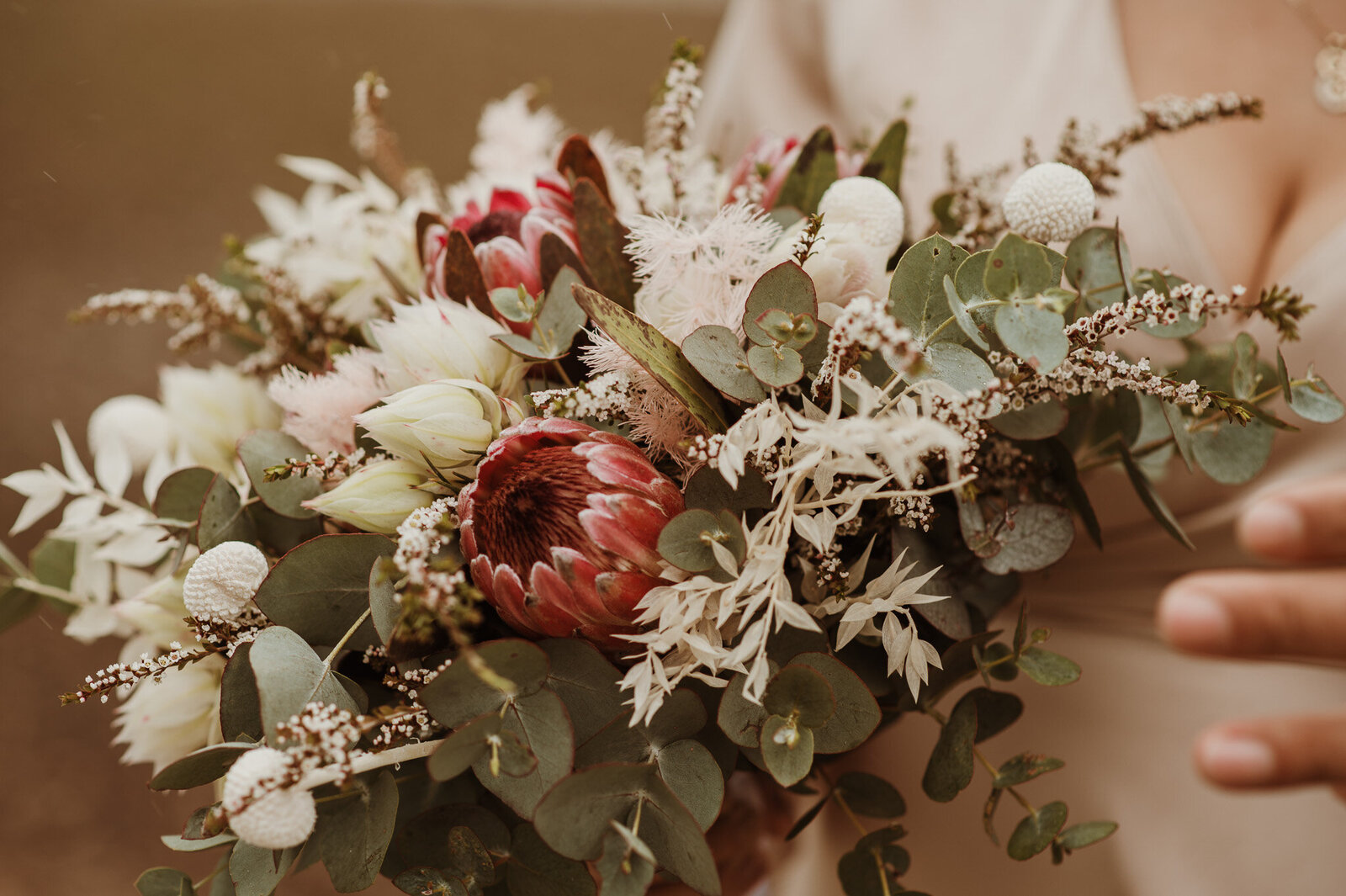brisbane wedding photographer