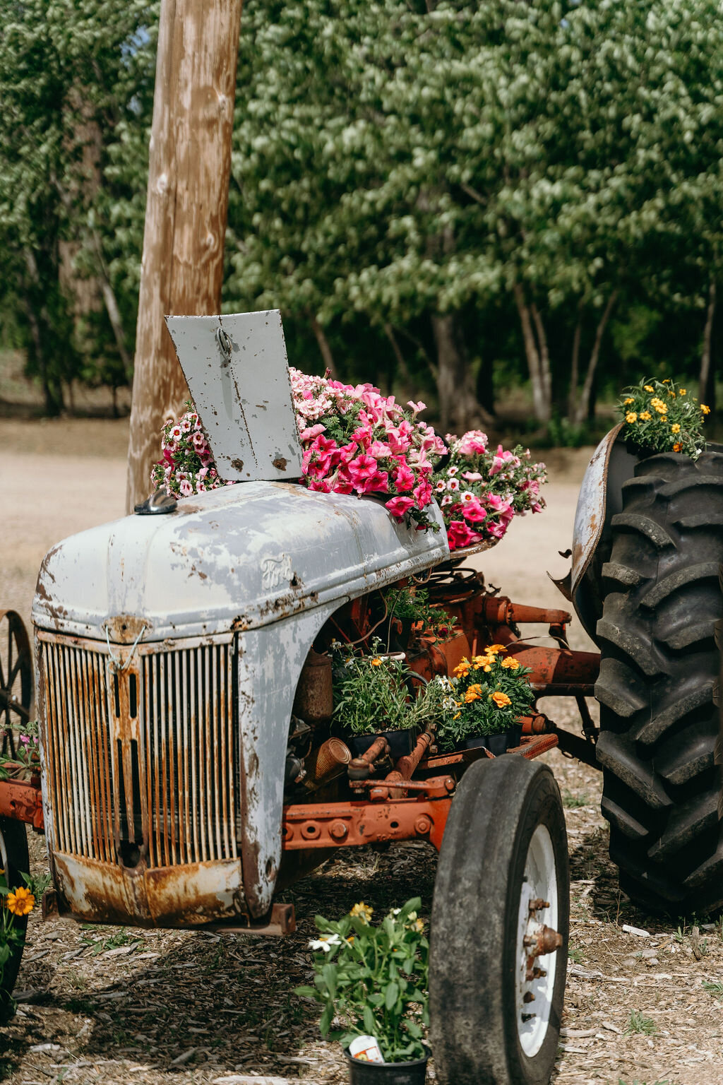 northern-california-wedding-photographer- (48)