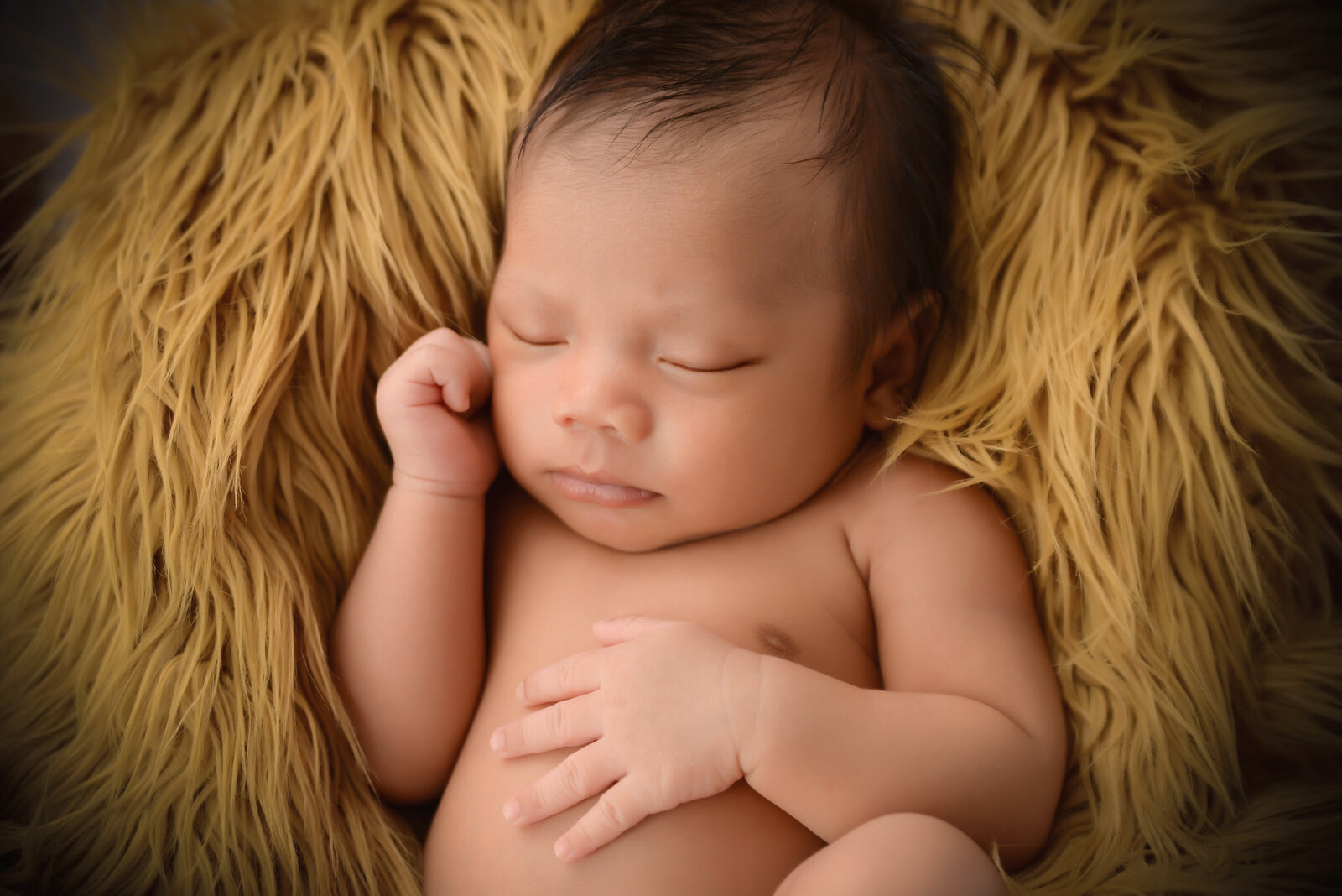 newborn studio portrait studio-109