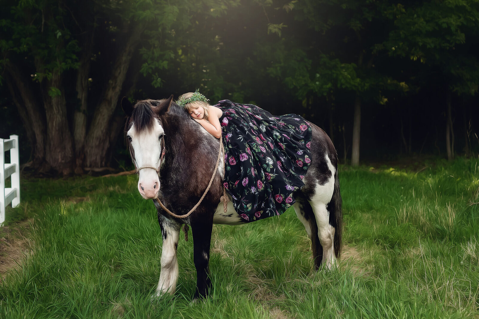 Elley_0039web