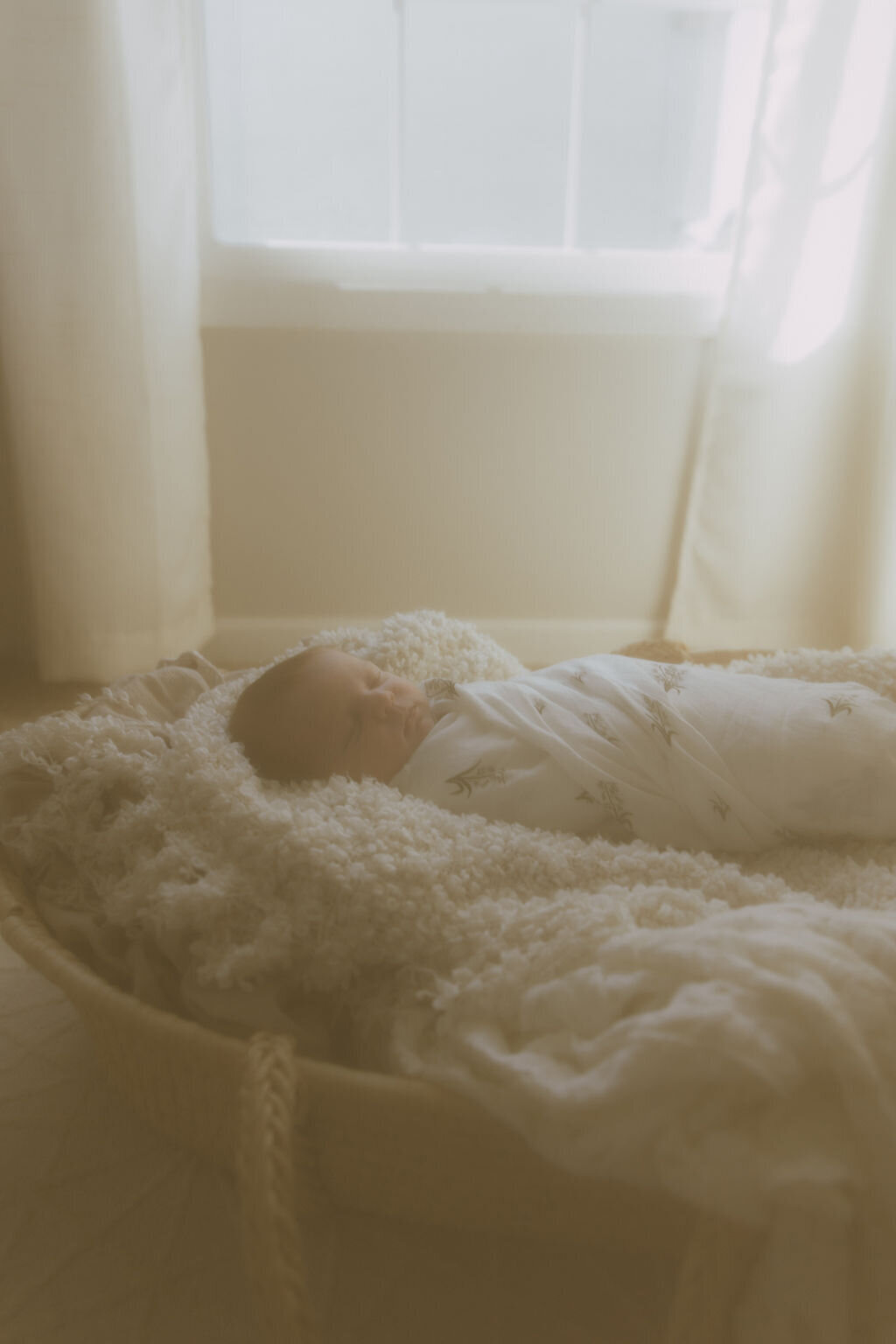 AbigailElizabethPhoto-0682
