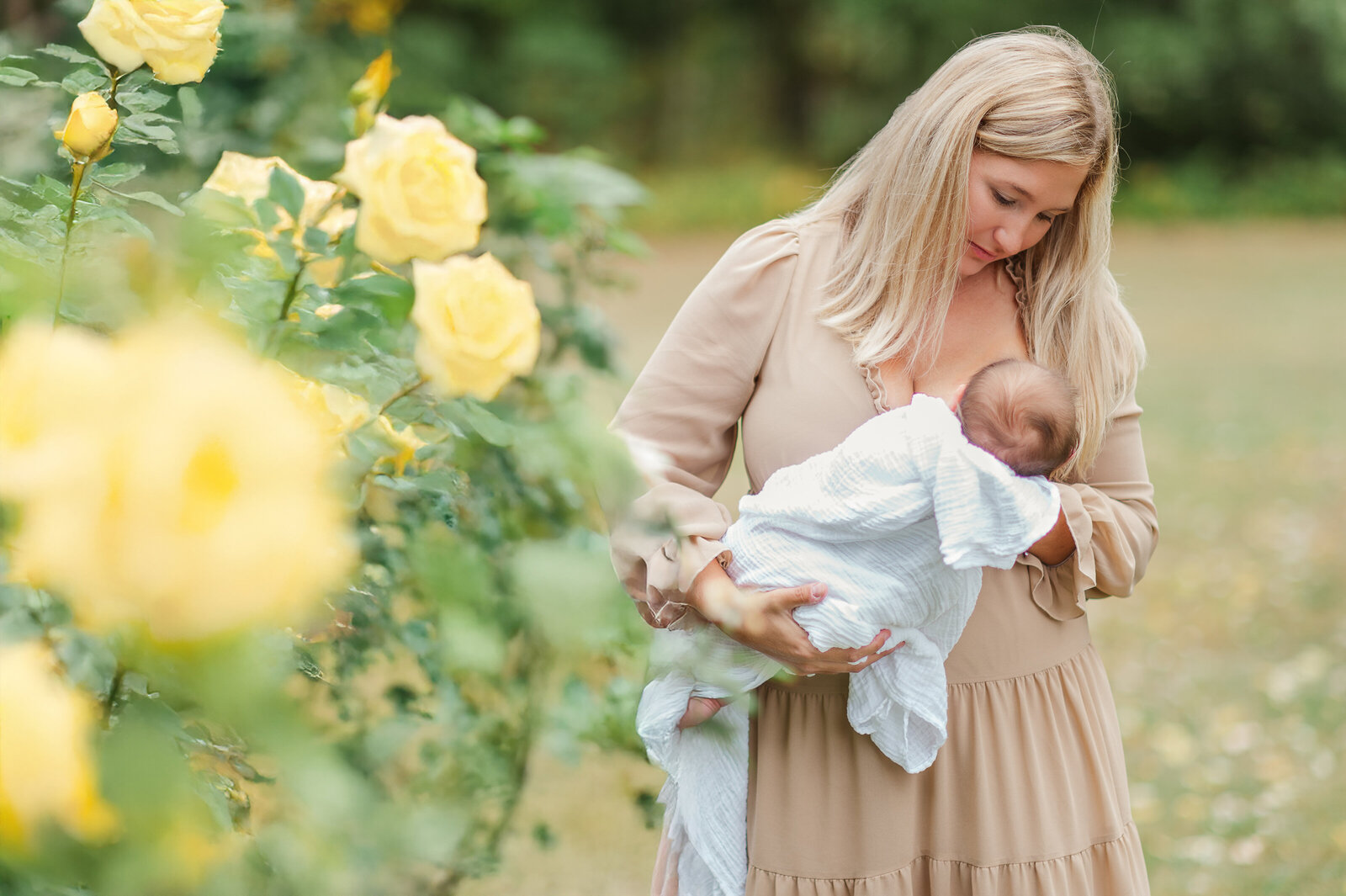 mother holding newborn white nursing outside with yellow roses in the foreground by photographer york pa