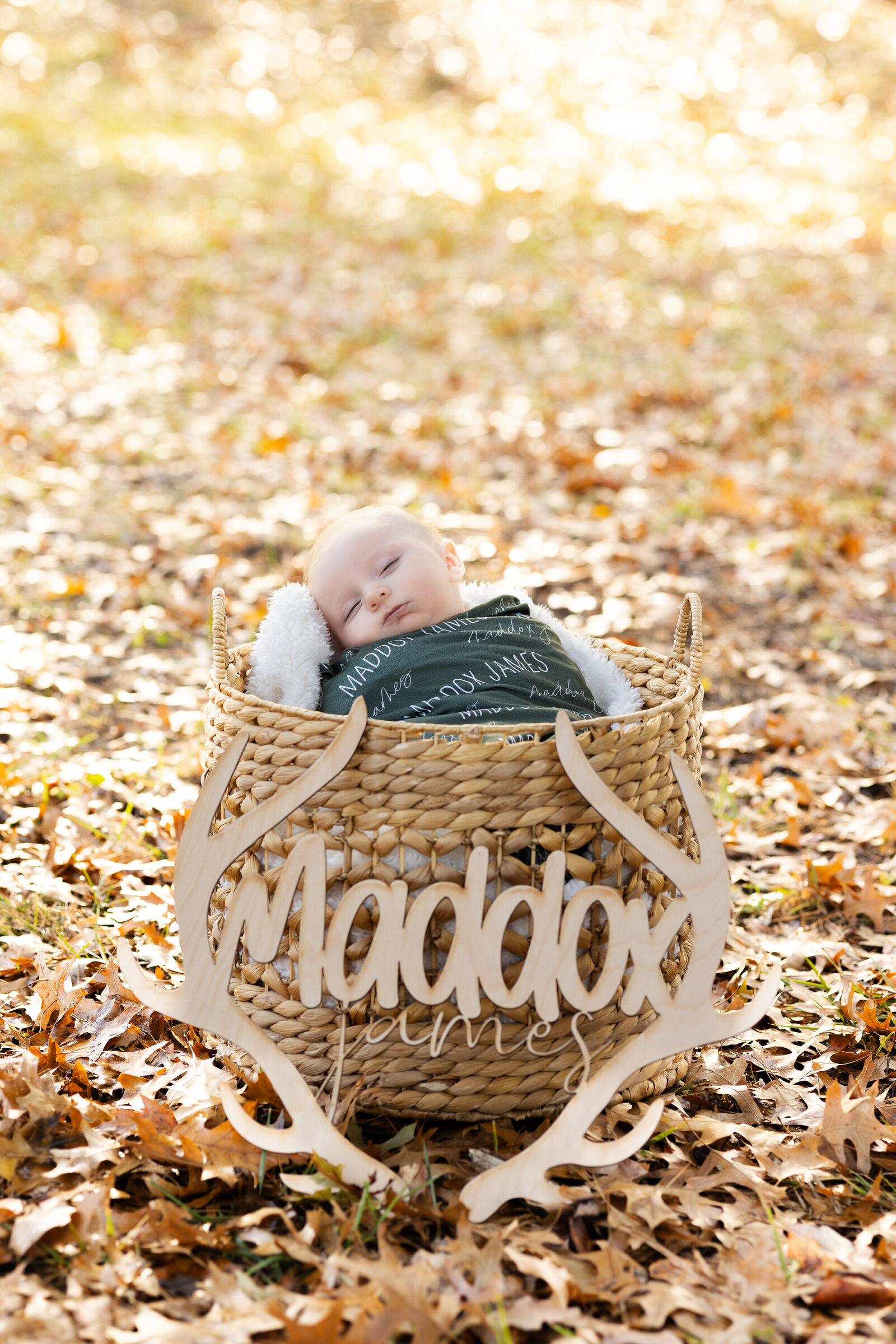 maddox