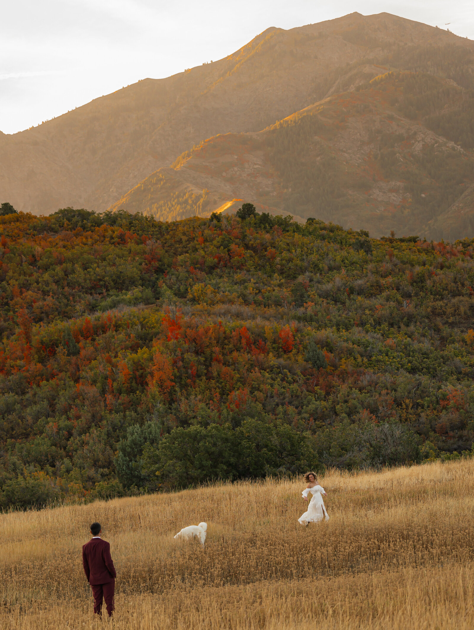 C + I | ENGAGEMENTS UTAH | MOUNTAIN COUPLE |  FULL-2746-3