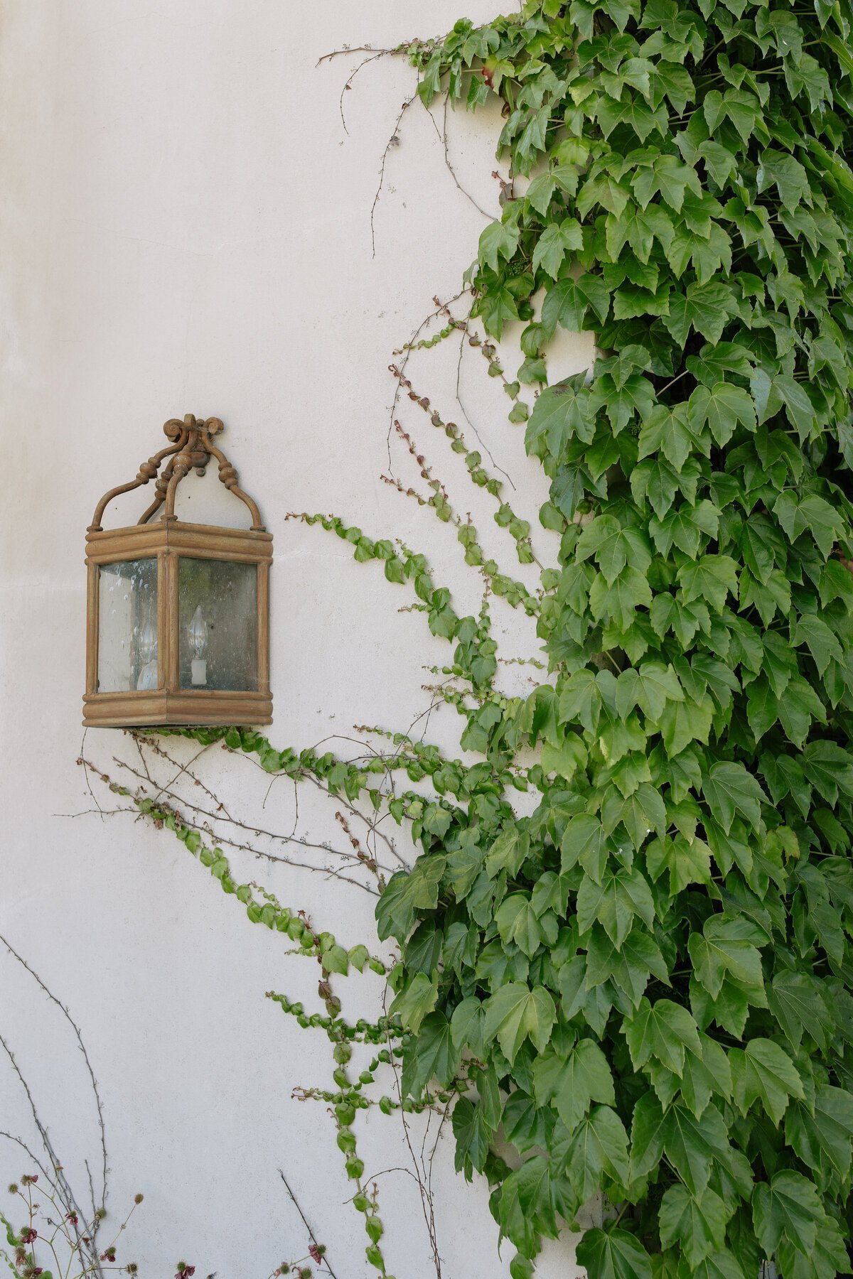 Vines going up wedding venue wall by destination wedding photographers