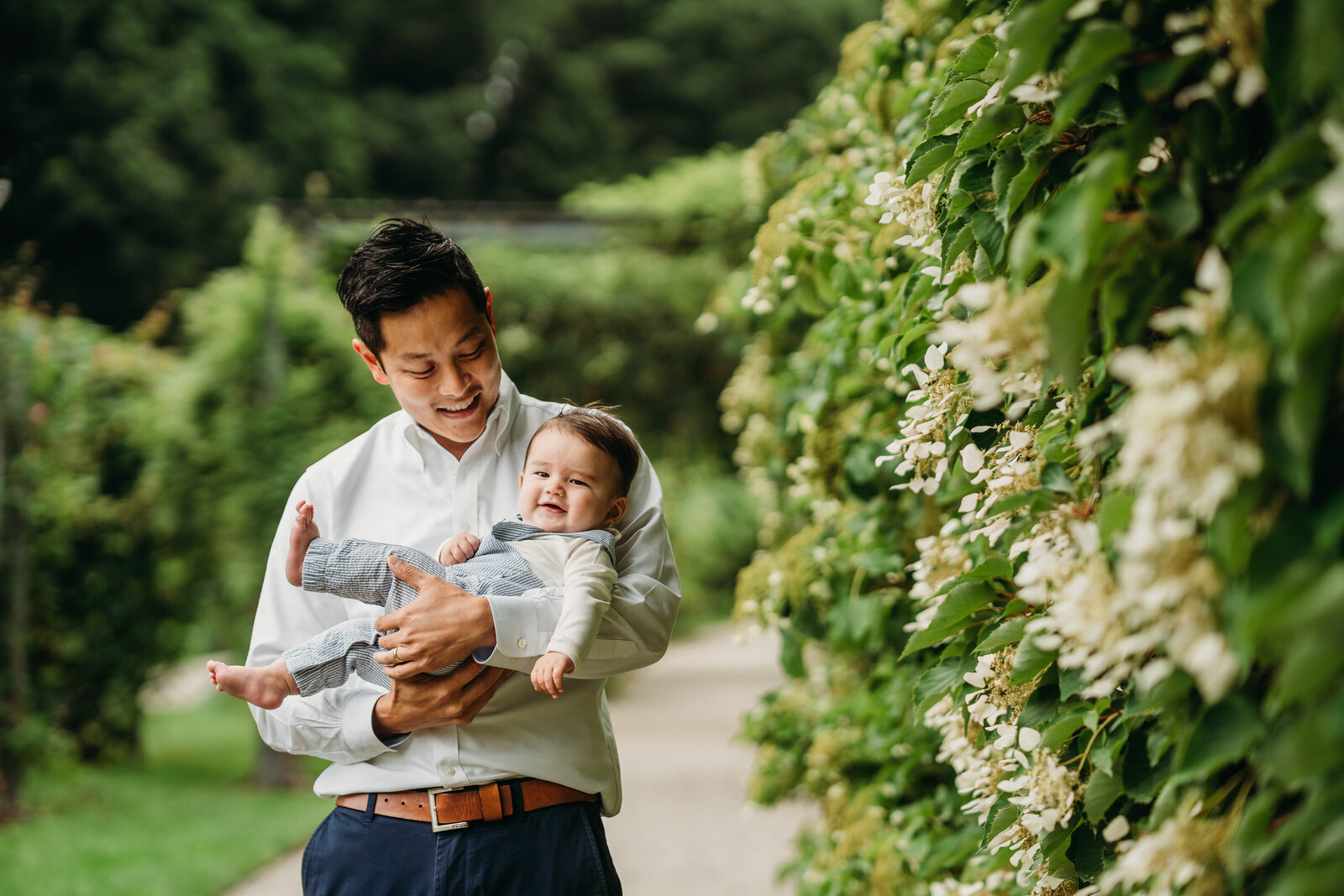 father holds laughing baby boy by hydrangea wall in boston