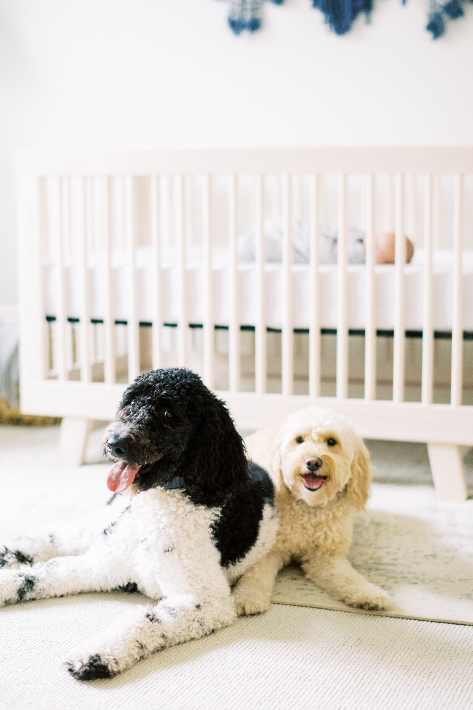 hank-maddierayphoto-145