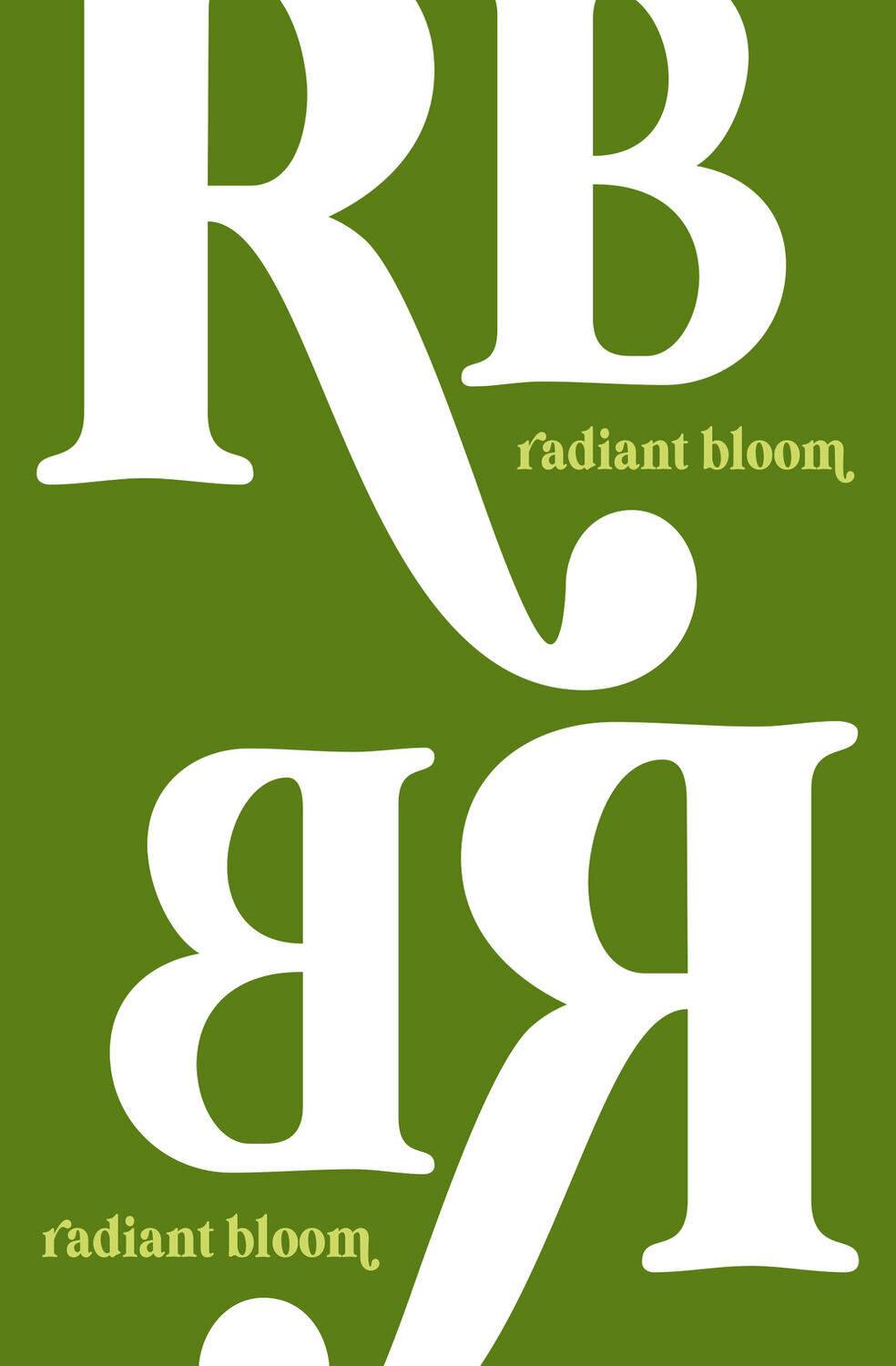 Bright-bold-brand-design-4