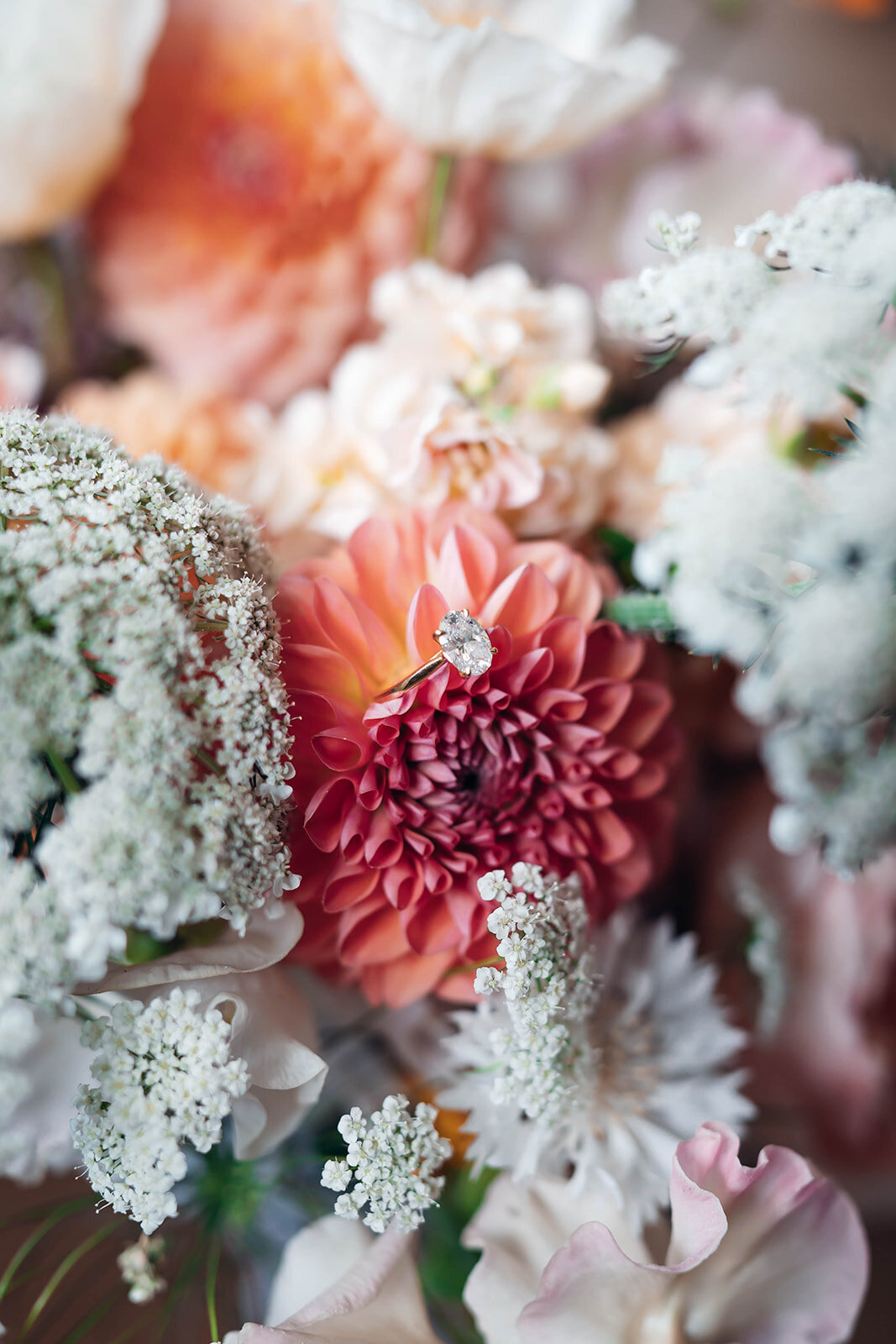 RachelRichard_EmilyCollettPhotography0011_websize