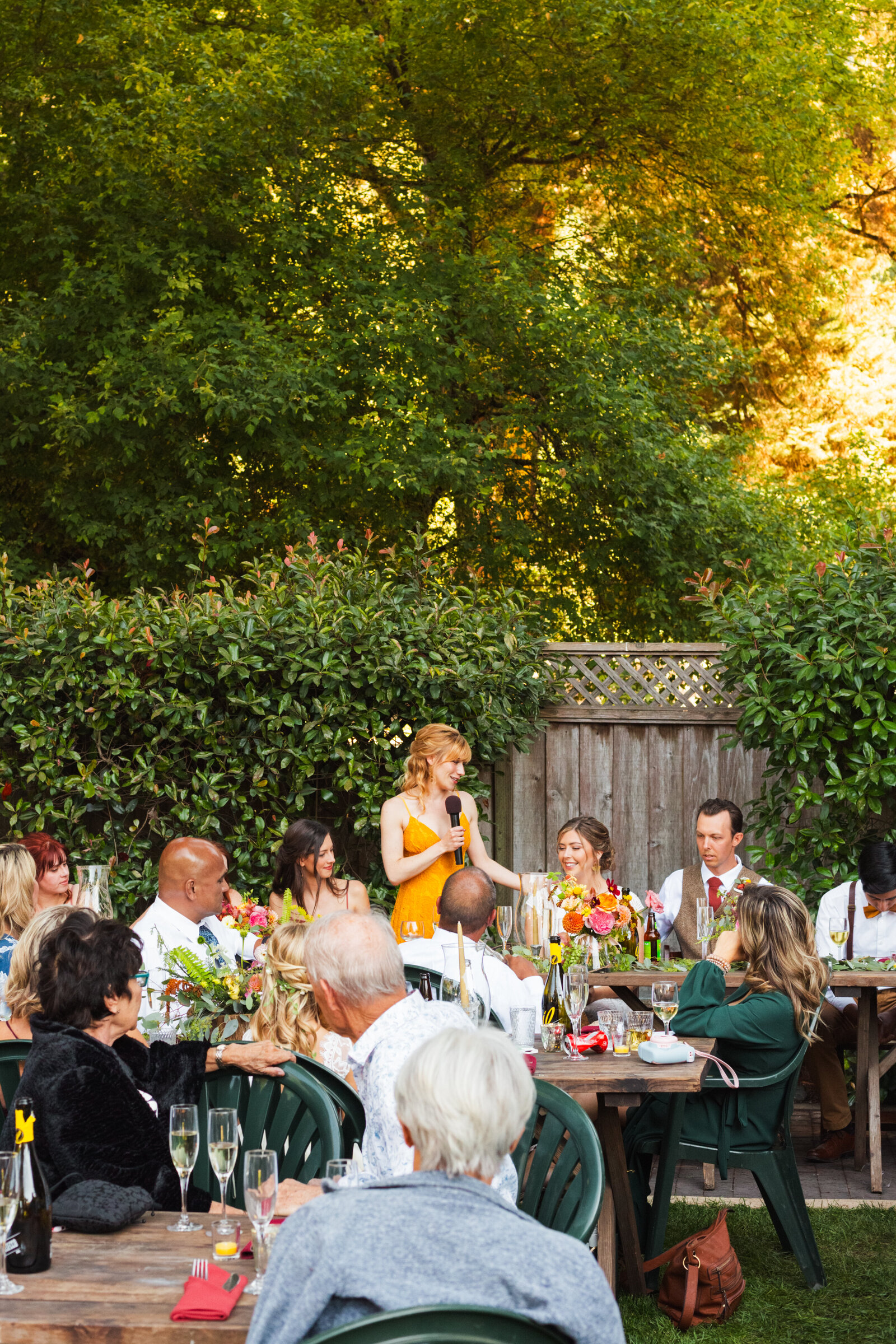 Wedding toasts in Santa Cruz, California in the redwood trees.