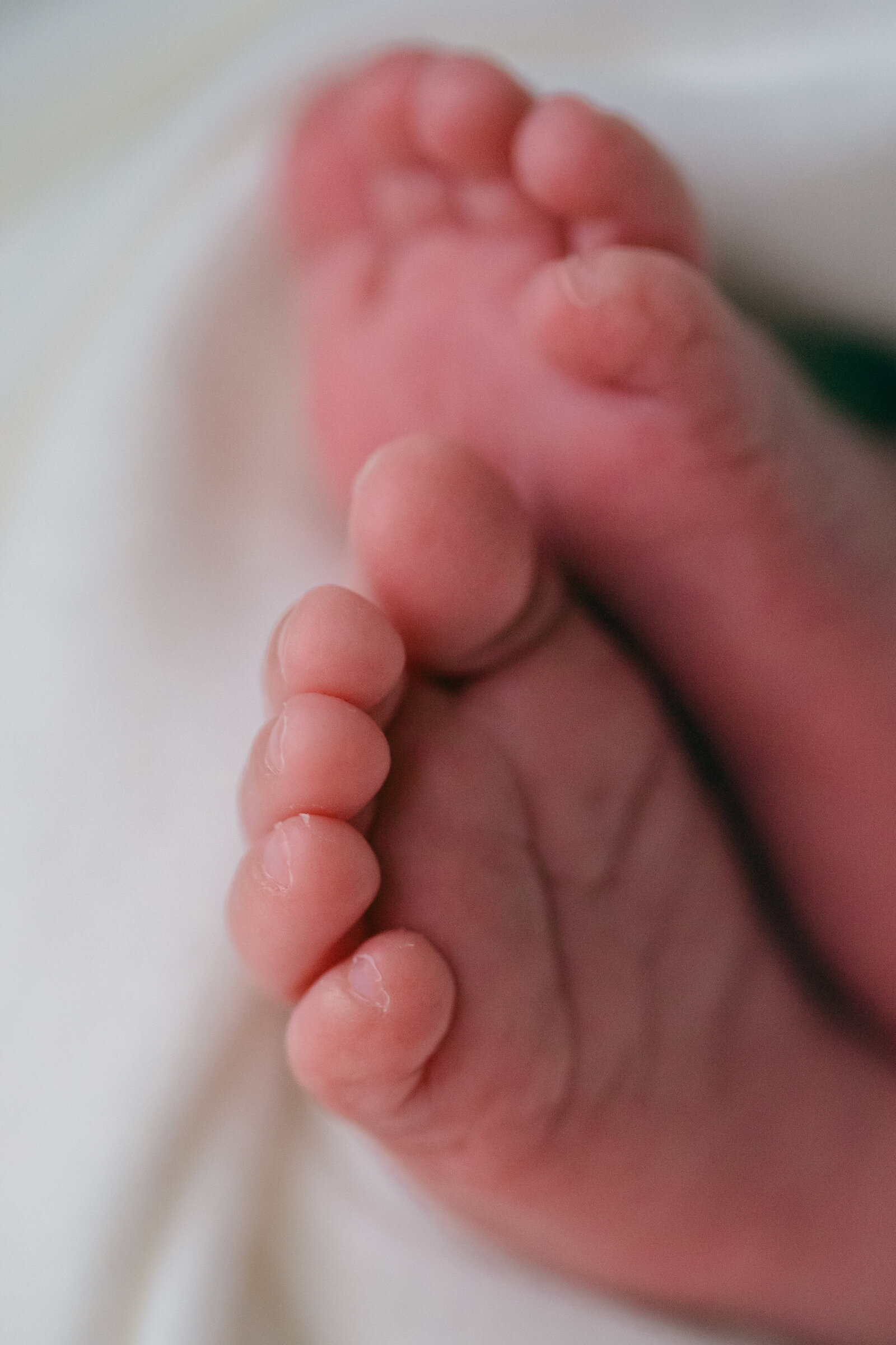 Laurenbeauphoto - Oklahomaphotographer - Olsen-6419