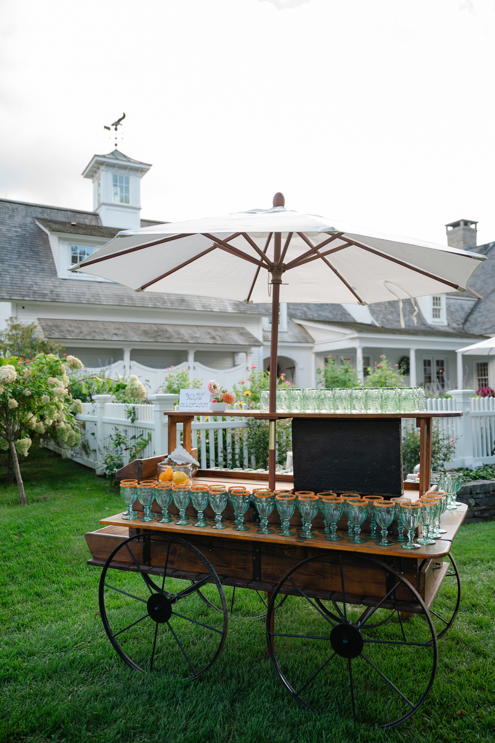 NEEP-CARLA-TEN-EYCK-SMITH-FARM-GARDENS-146