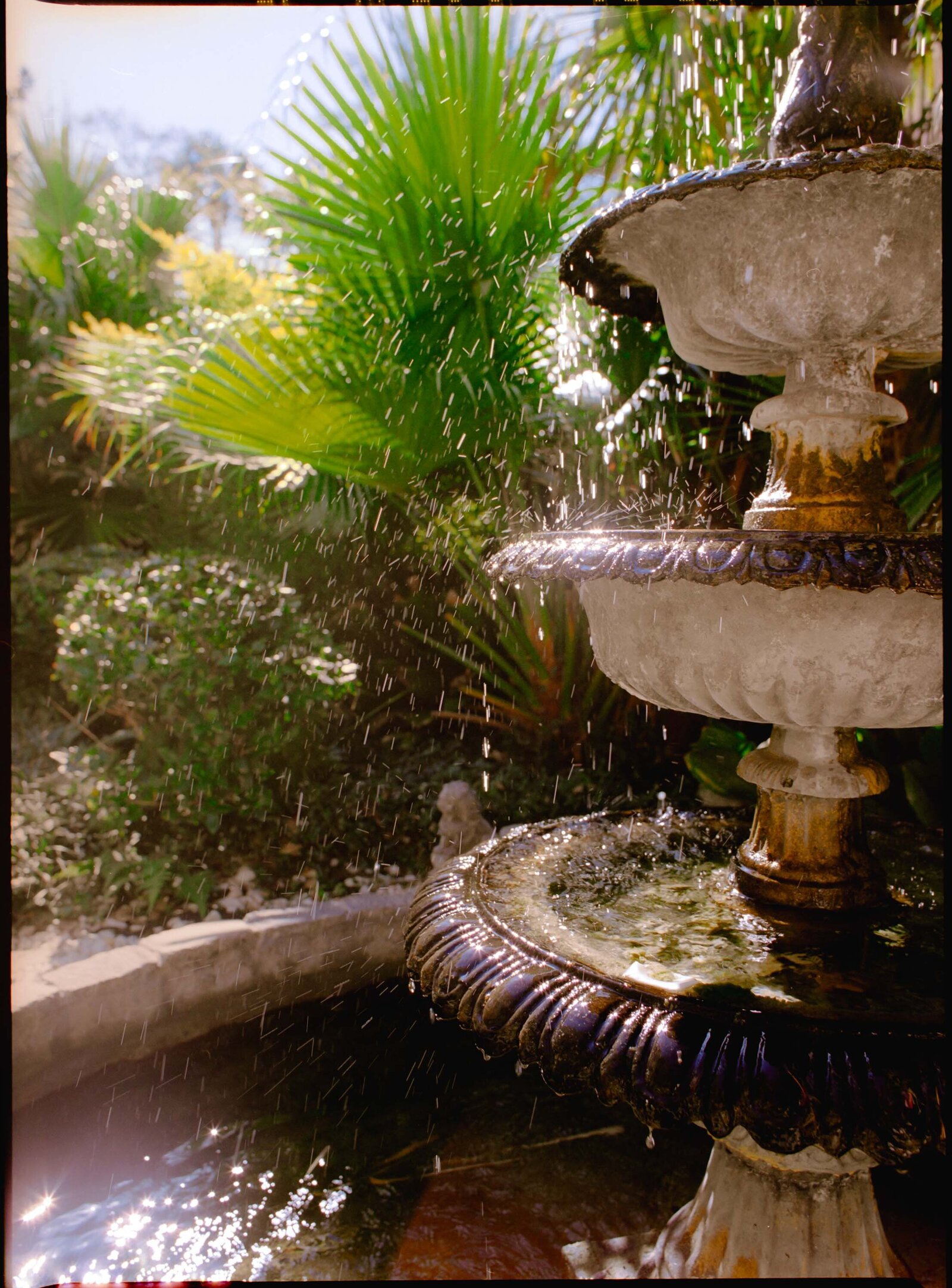 coastal-colorful-wedding-film-photos-jess-buckley-18