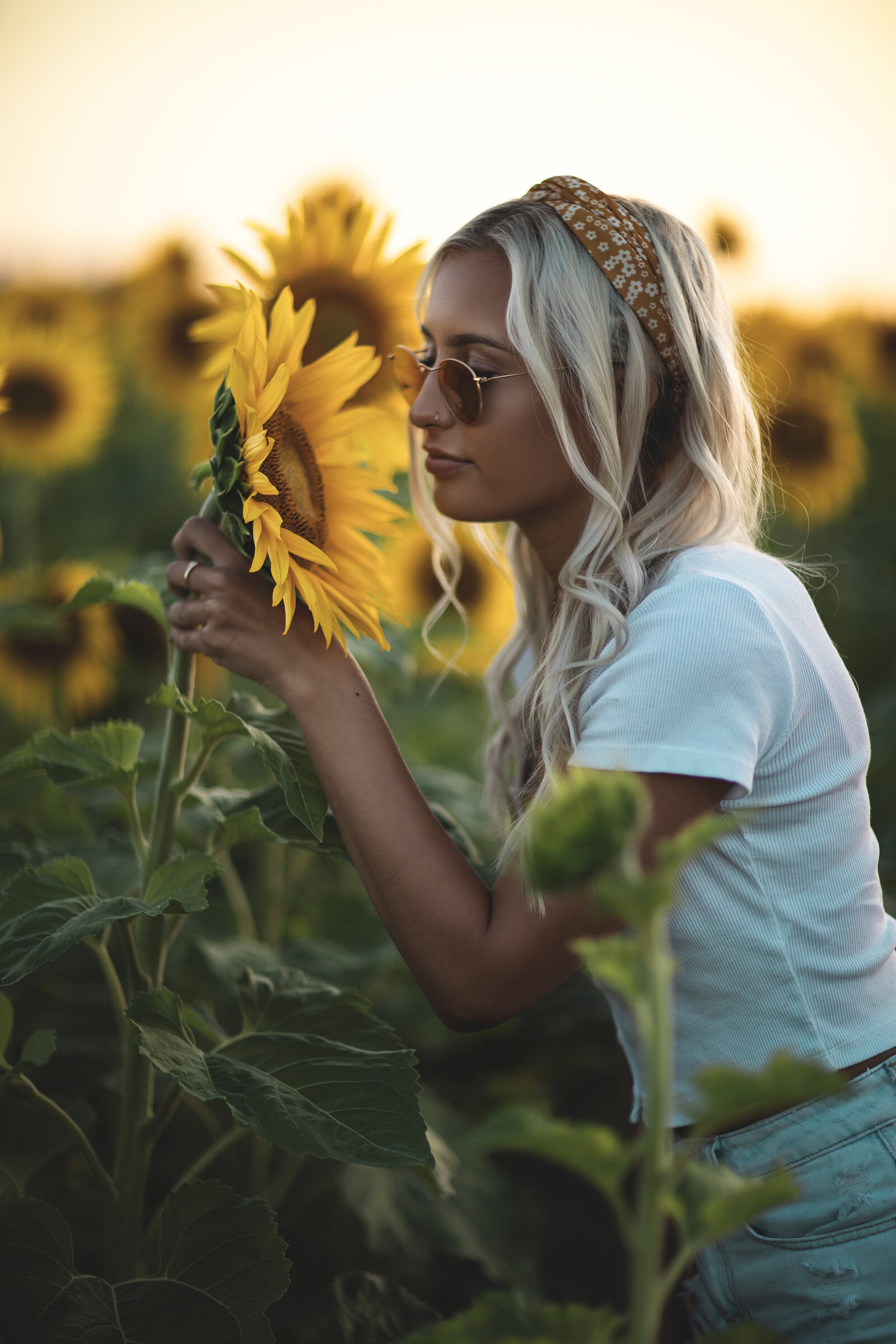 Jayme Sunflower 2019 1