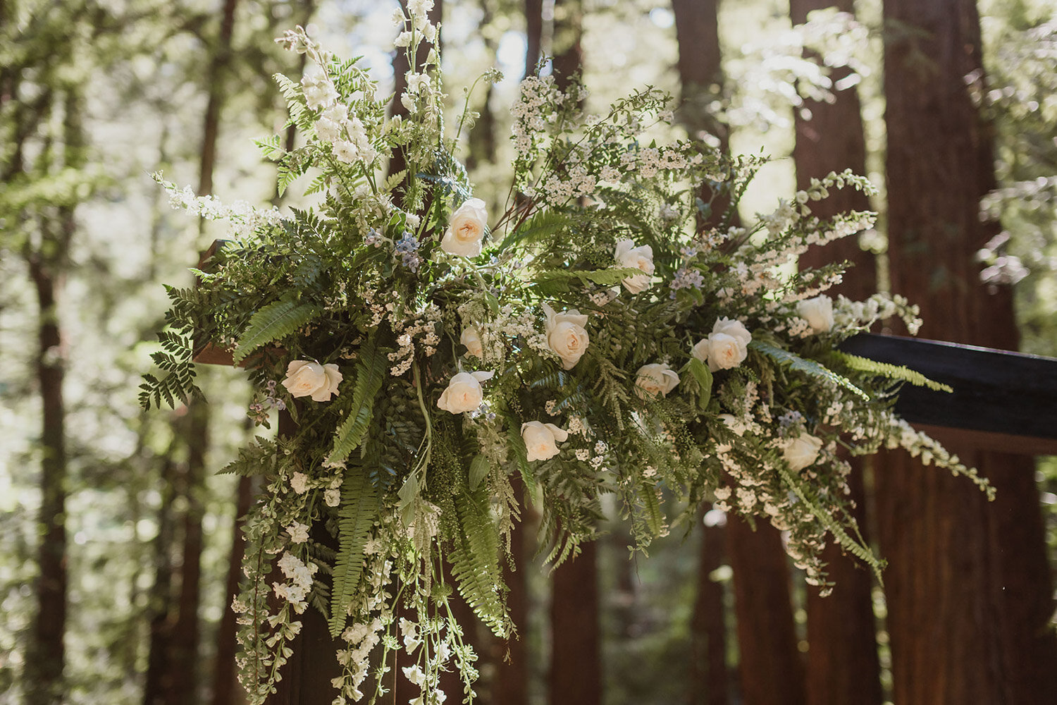 Forest wedding arch decorated with ferns and white roses