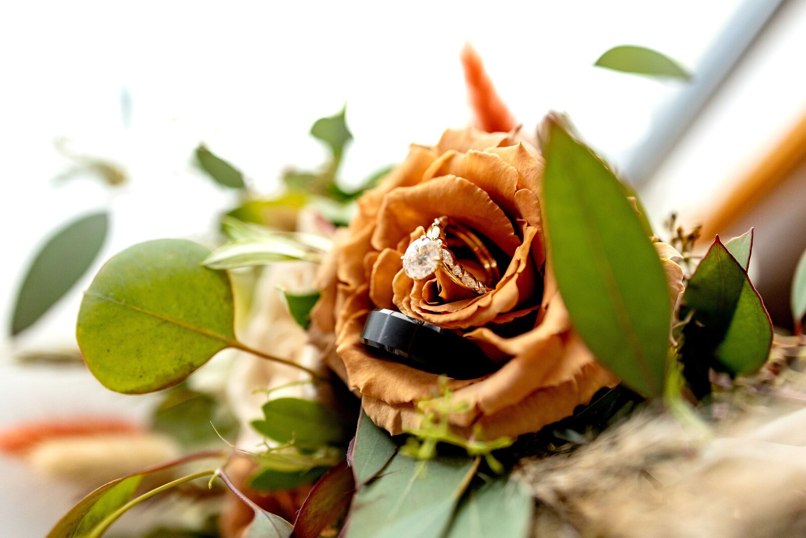 peachtree_city_georgia_photographers