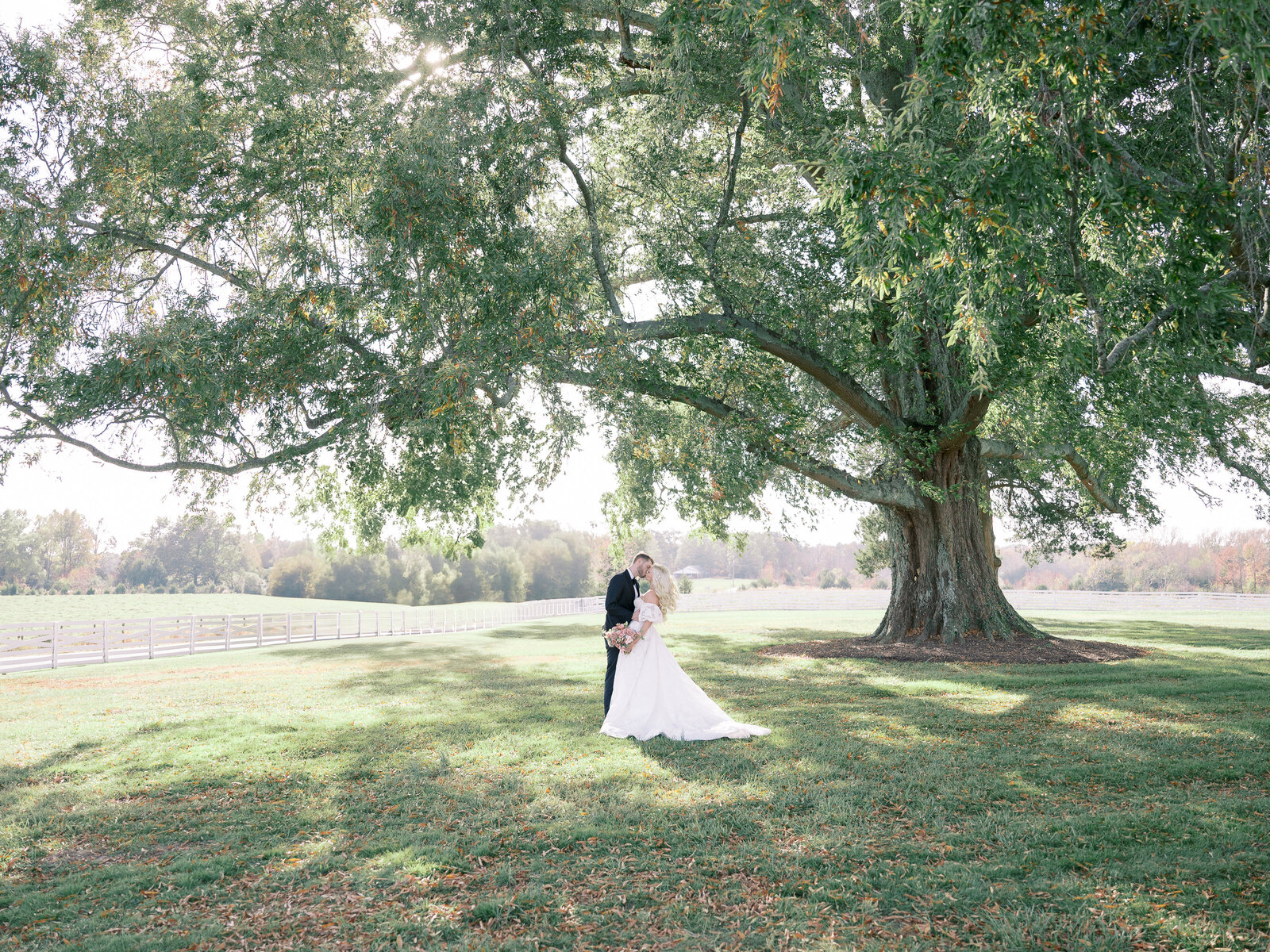 Romantic wedding portrait beneath a 200-year-old oak tree at Northfield Estate near Richmond, VA, photographed by Kaytlyn Rei in her signature fine art style.