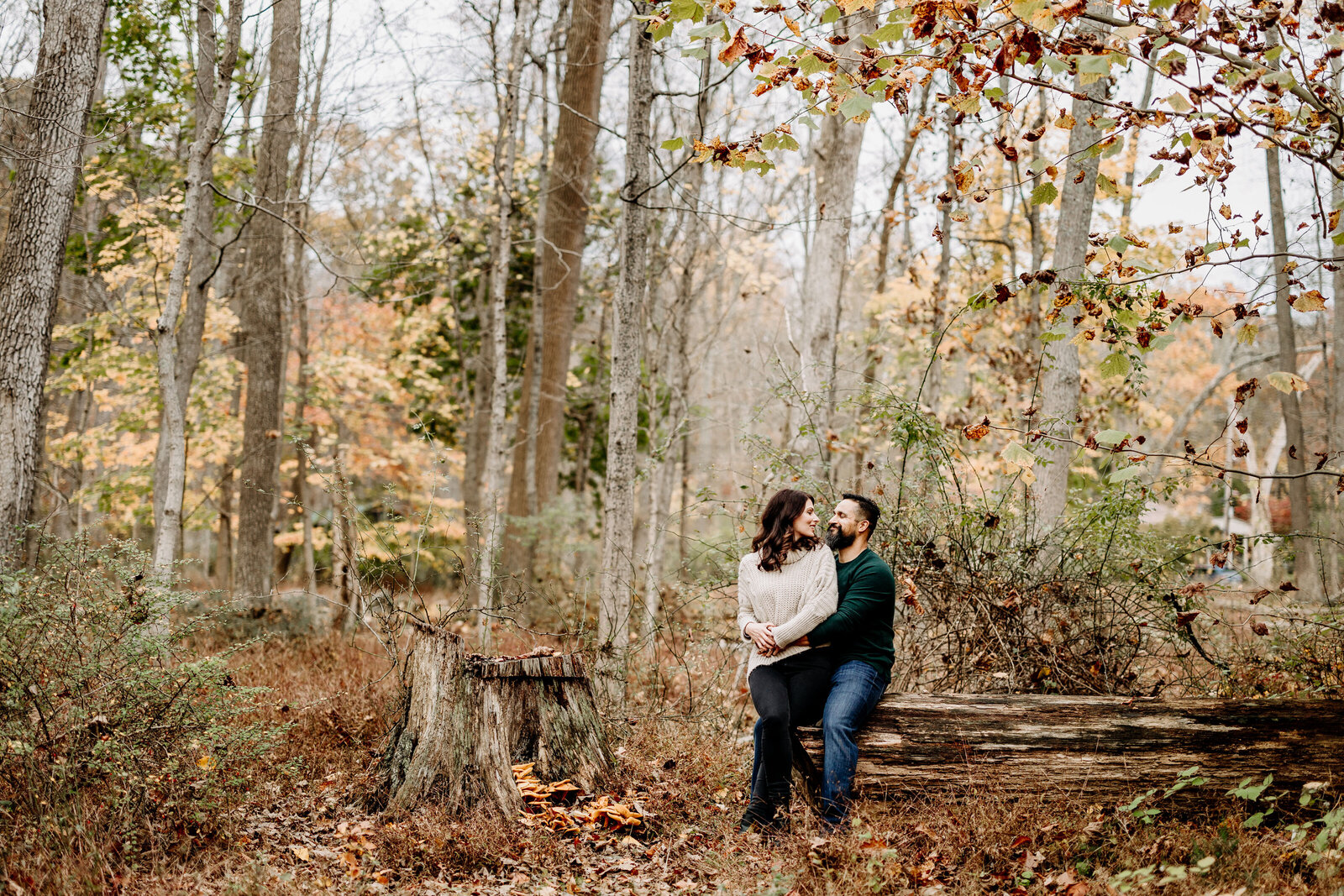 engaged couple fall woods