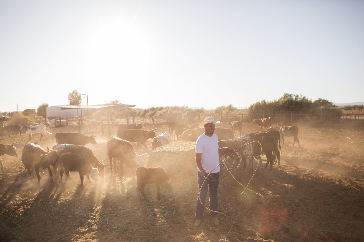 173FarmCreditWestWillowRanchFullyAlivePhotography2019web