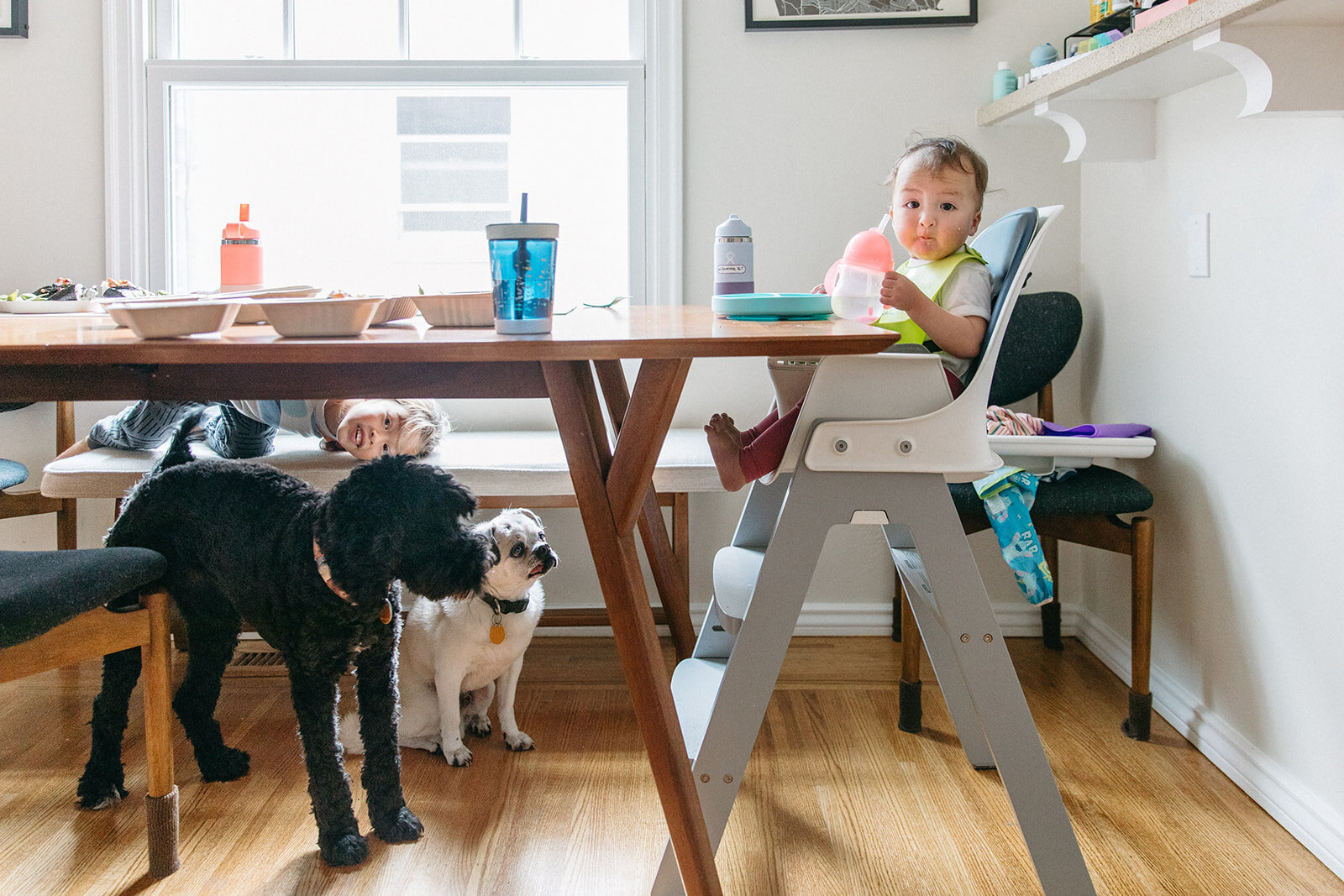 baby in a high chair feeding herself while two dogs stand under the dining table waiting for her to drop something