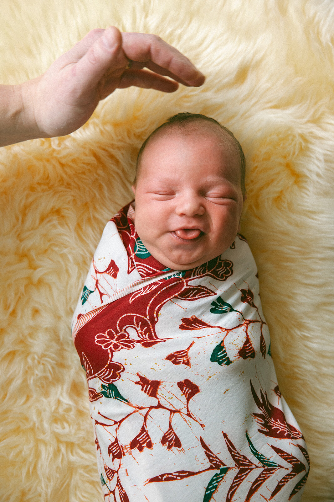 Adeline Newborn Photos-85