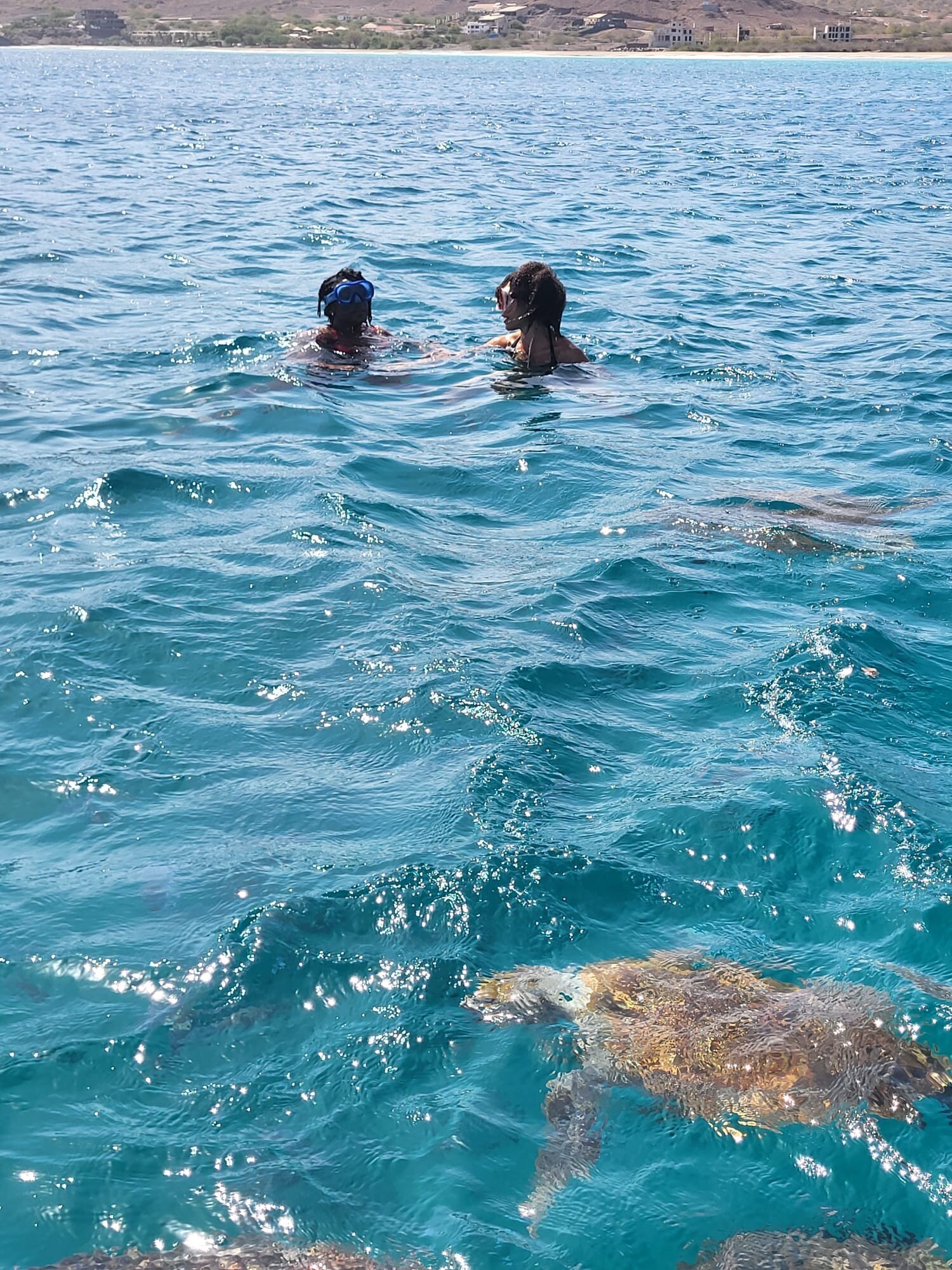 fce55d6c-b385-44a2-88a4-ae9fdbd8bcae