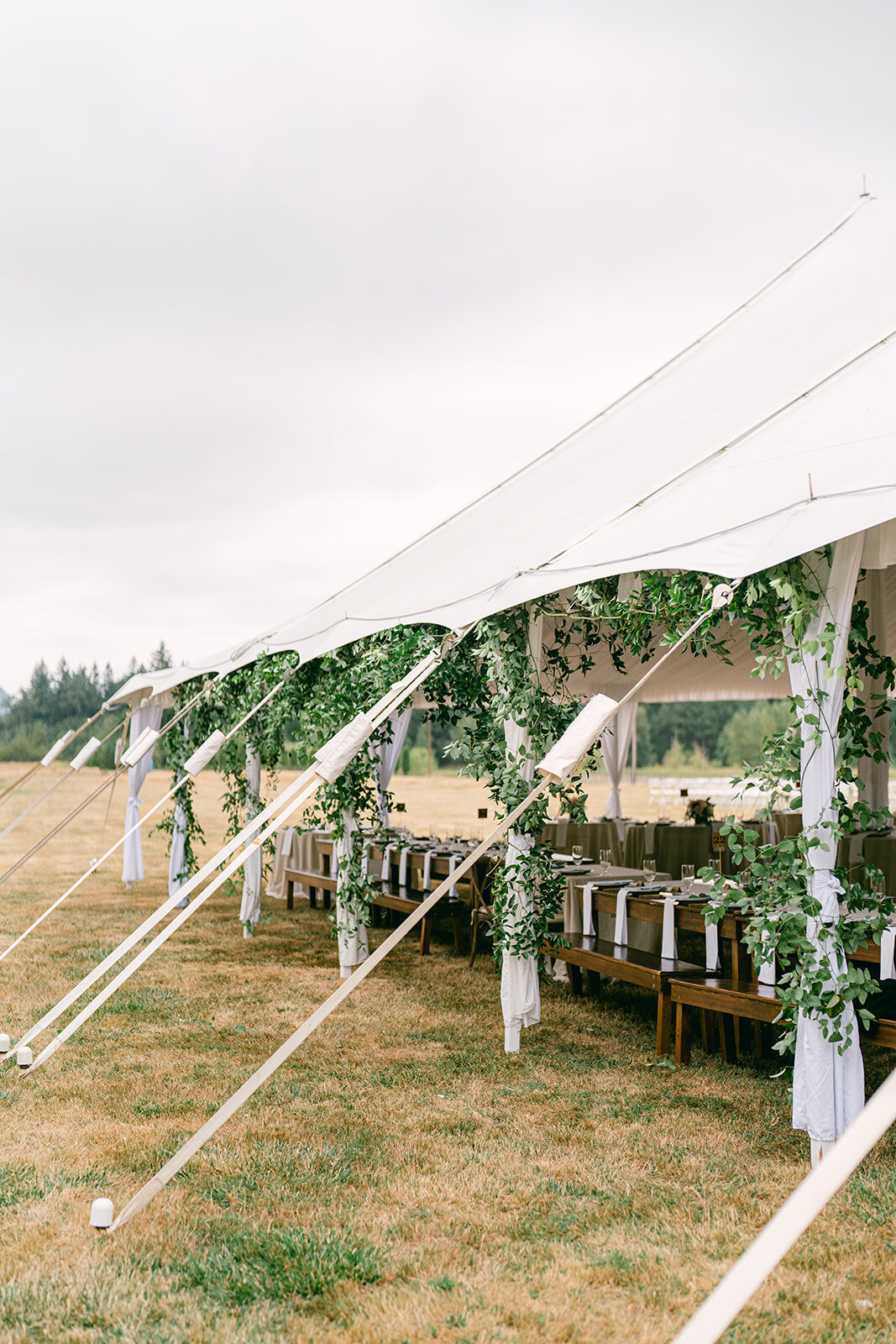 bo-hill-backyard-weddingbrit-chad-128