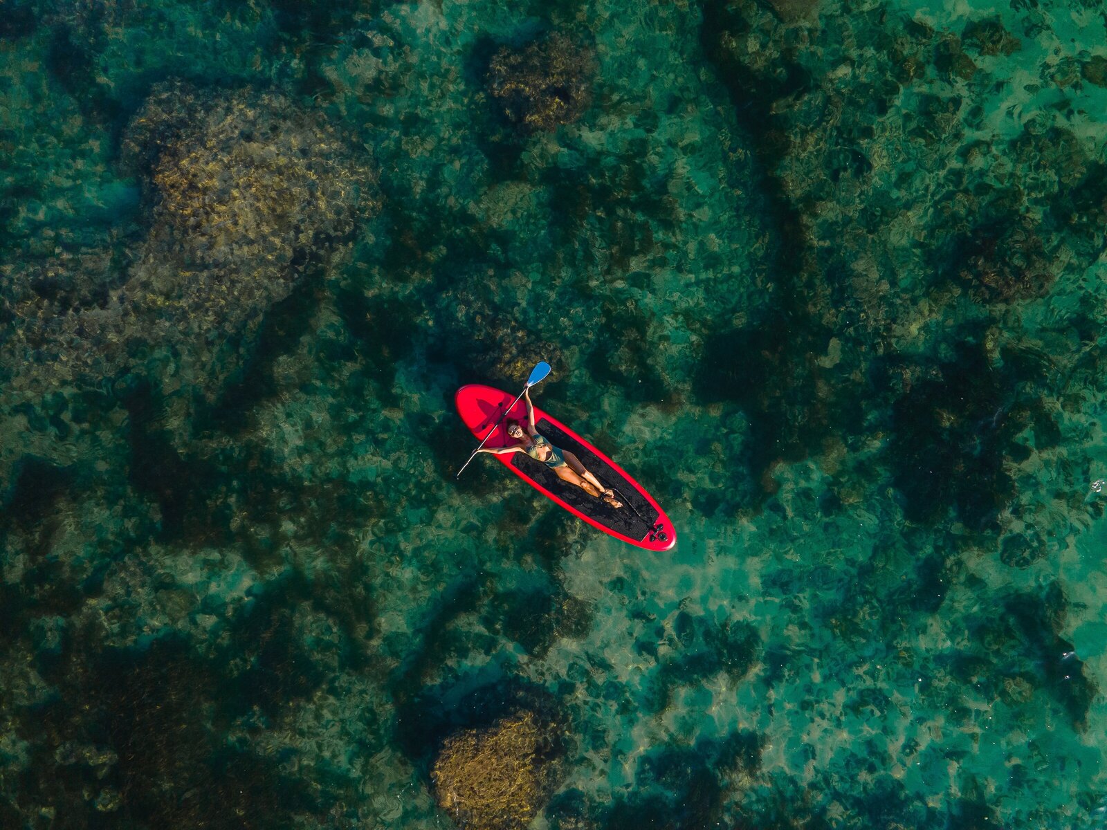 Paddle Boarder