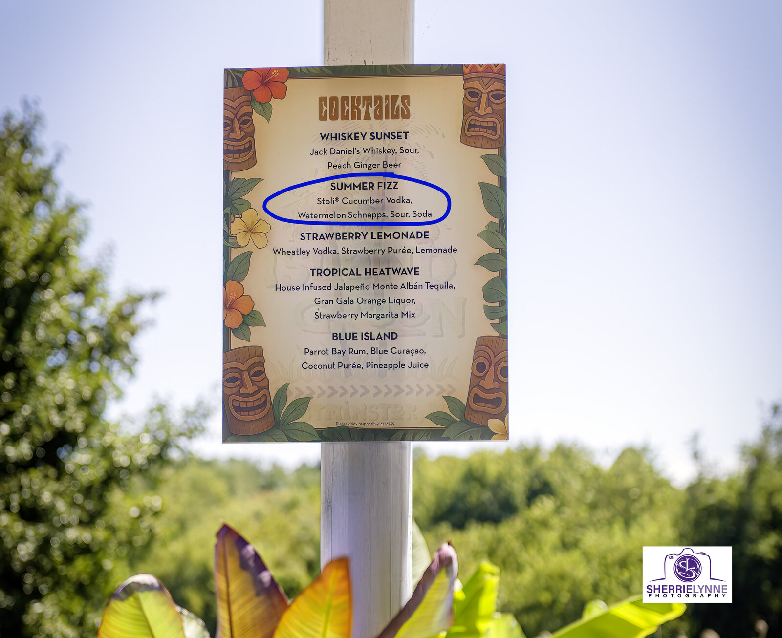 DSC_1438-Cocktail Sign copy